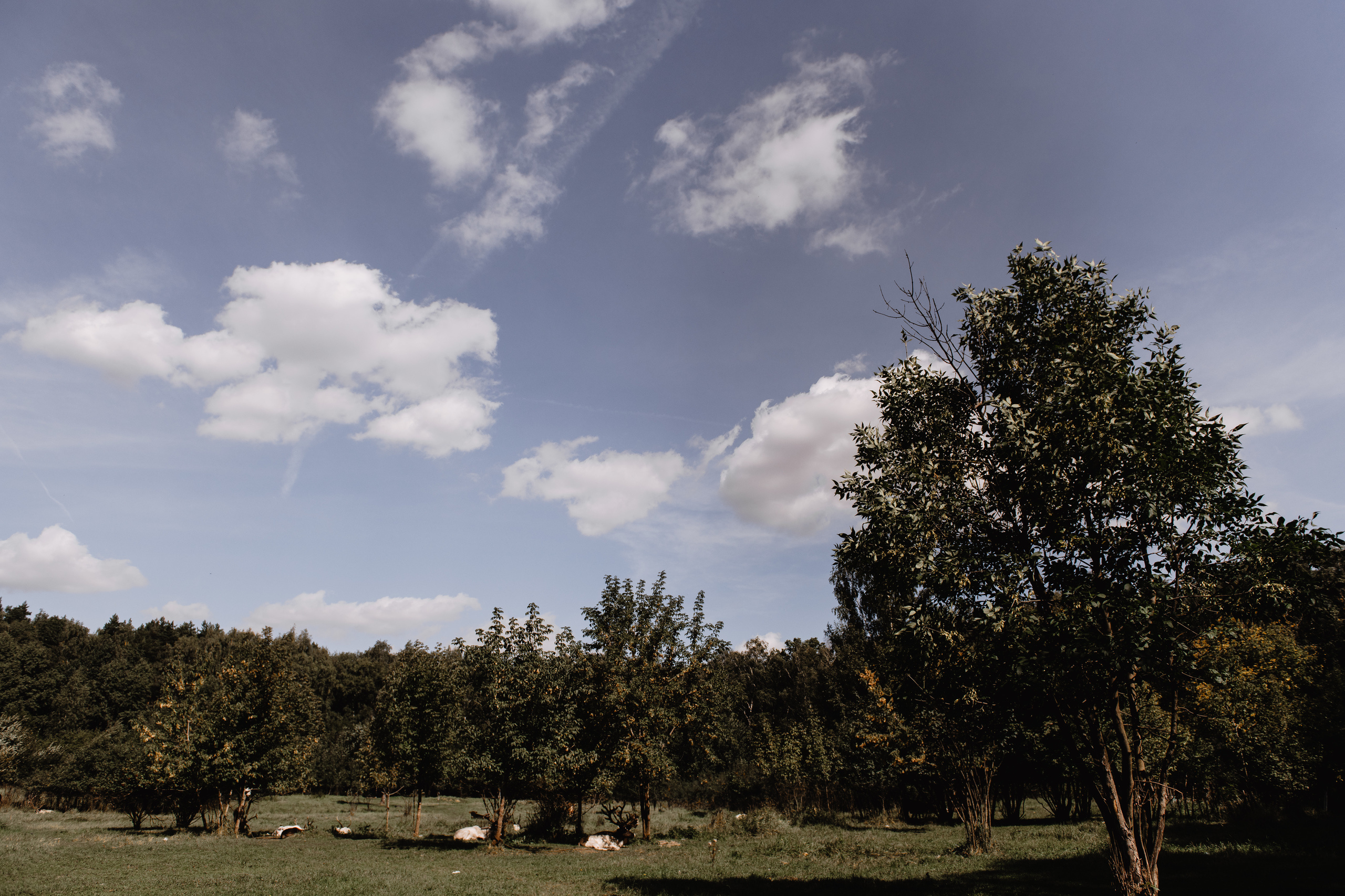 А щечки, щечки… ?!. Dmitry Unik — ваш стильный фотограф