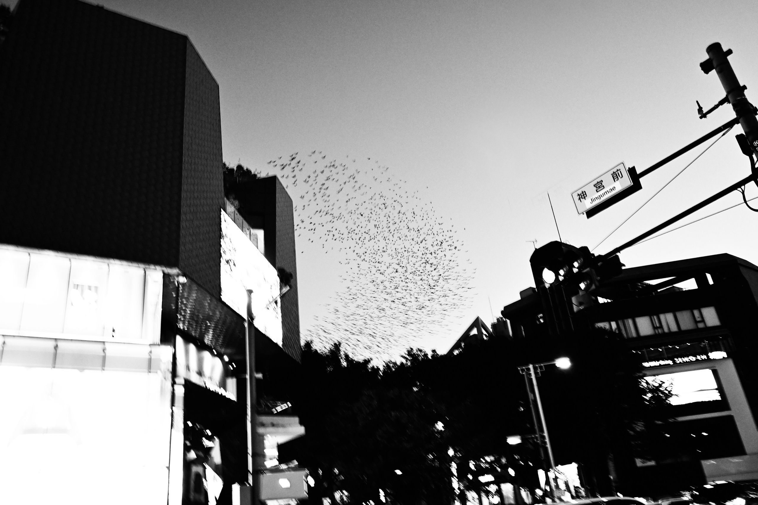 Tokyo night street. Iraogo