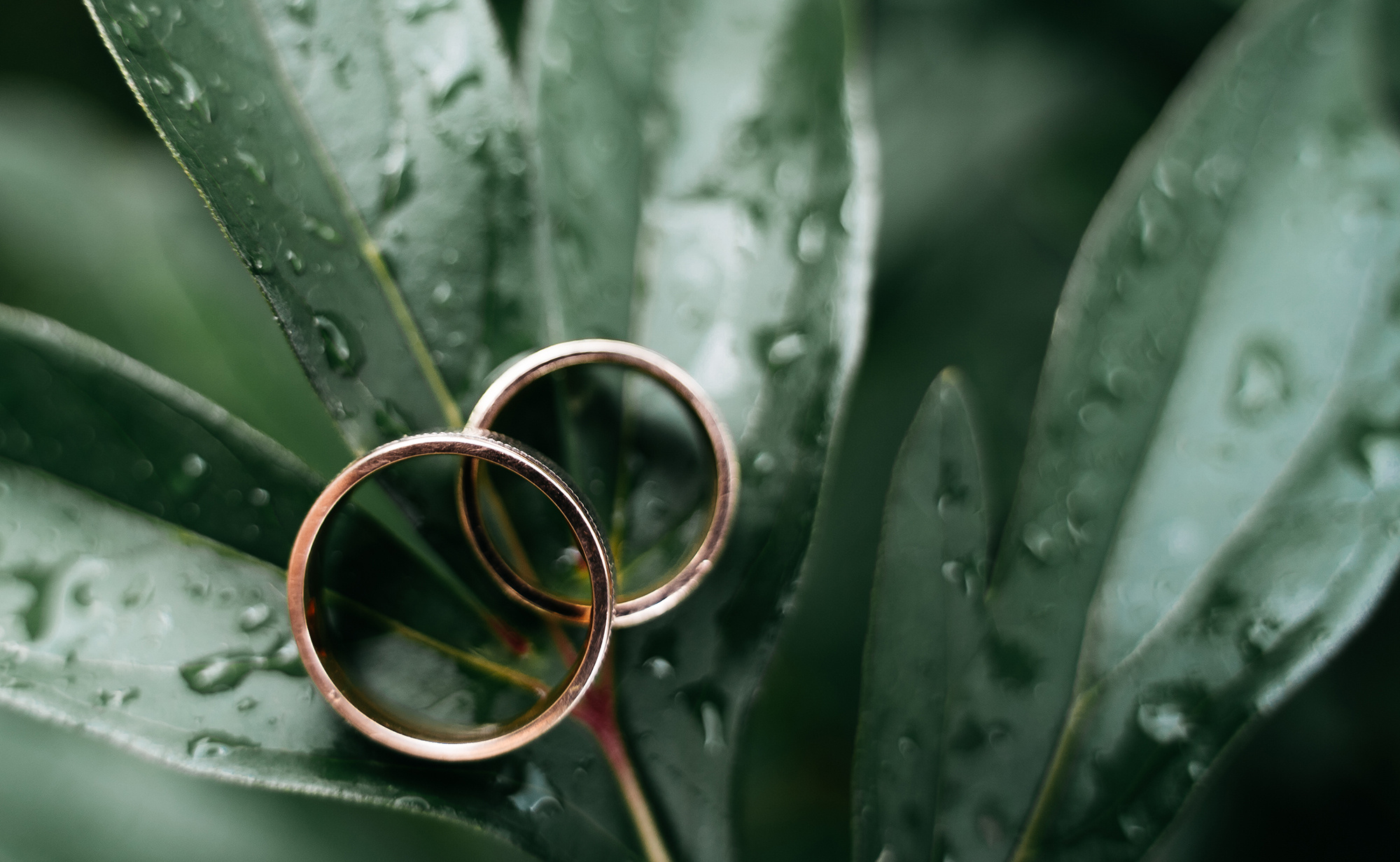 Владимир и Мария. Олег и Мария Ивановы фотограф и видеограф в Пскове Санкт - Петербурге