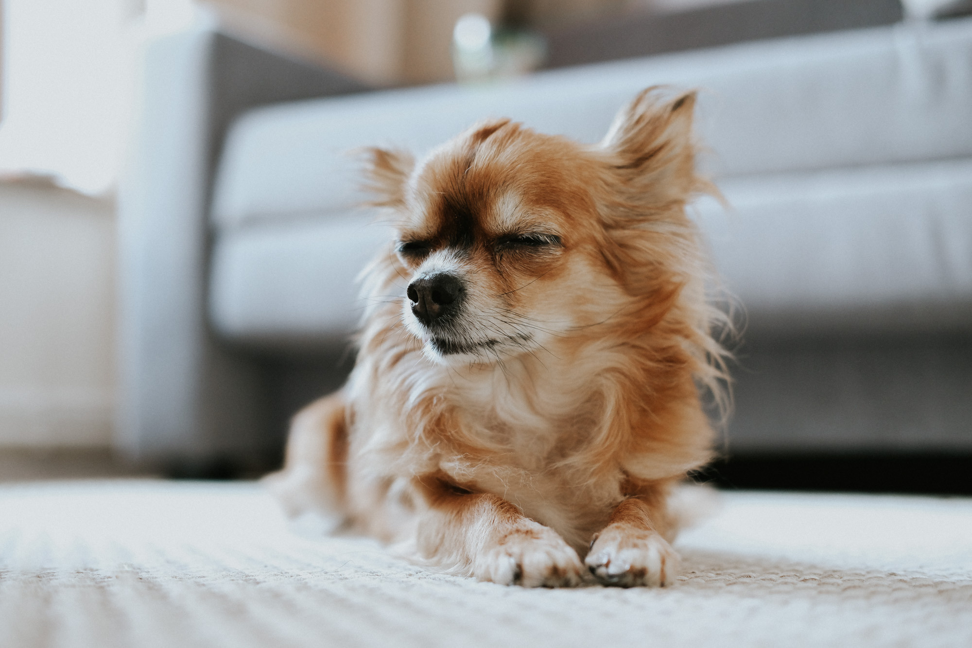 Свадьбы. Свадебный фотограф Александра Тюлякова