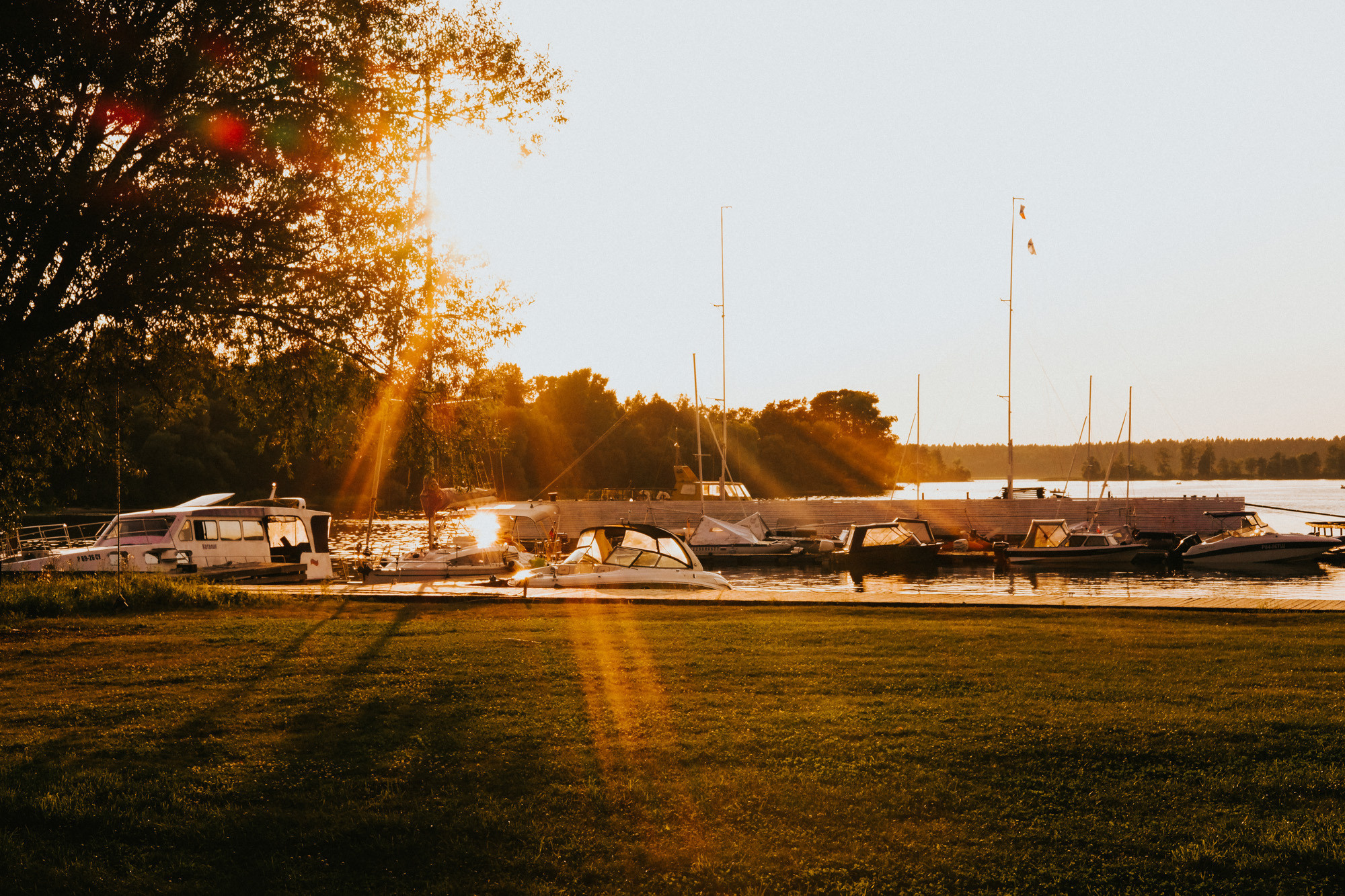 Свадьбы. Свадебный фотограф Александра Тюлякова