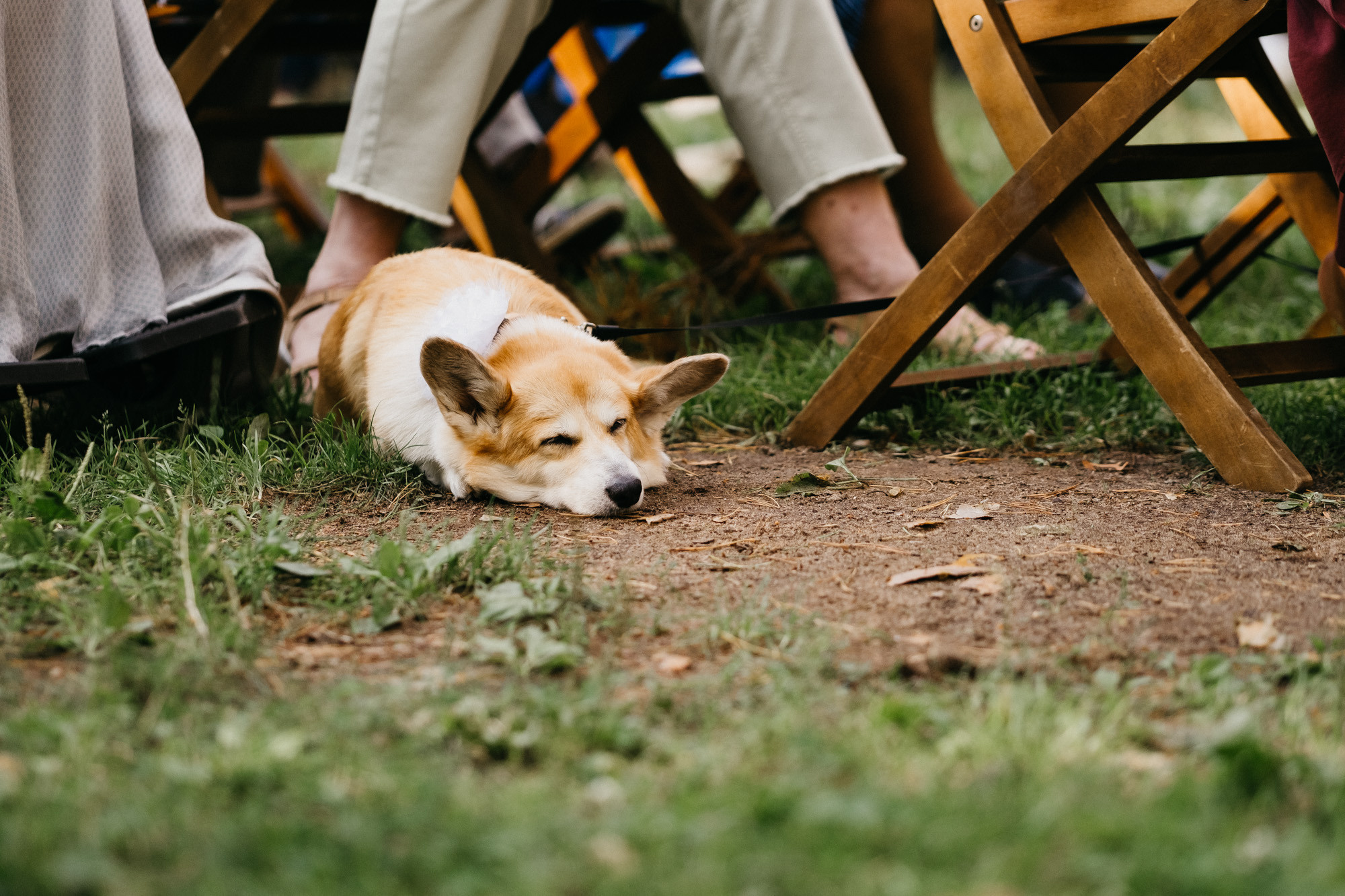 Свадьбы. Свадебный фотограф Александра Тюлякова