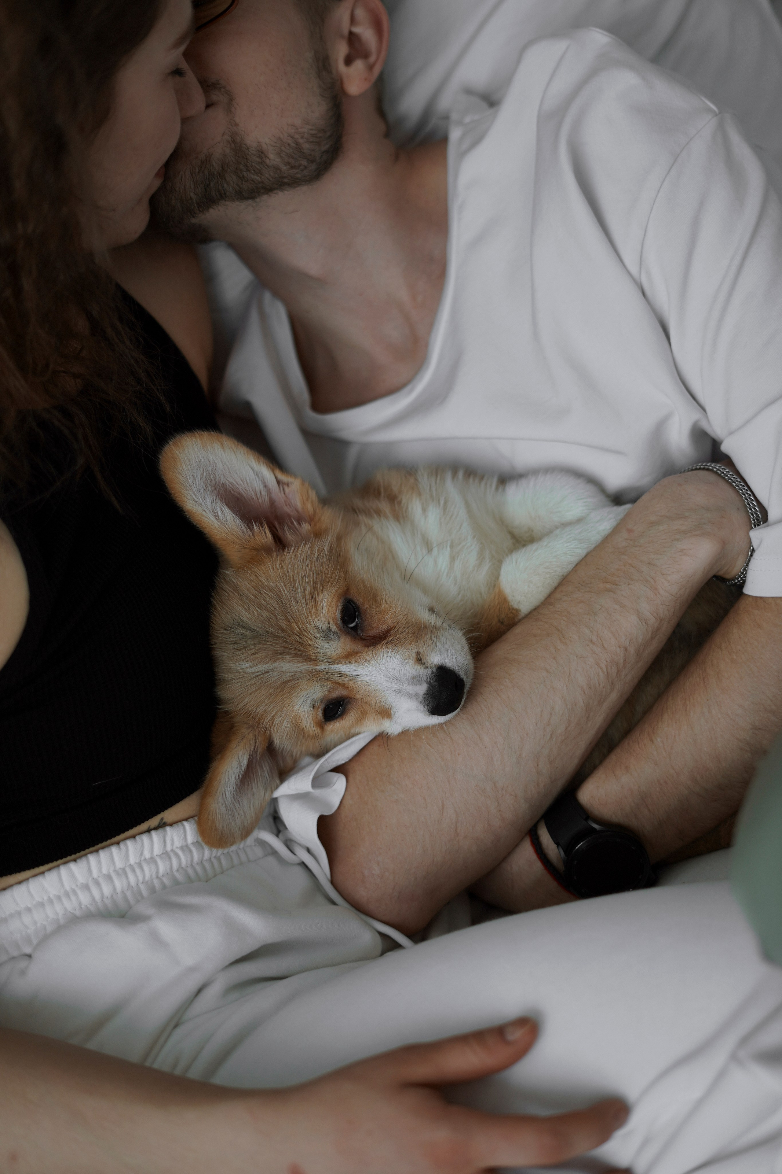 Антон&Марина&Дарси. Ваш фотограф Анастасия Болотникова