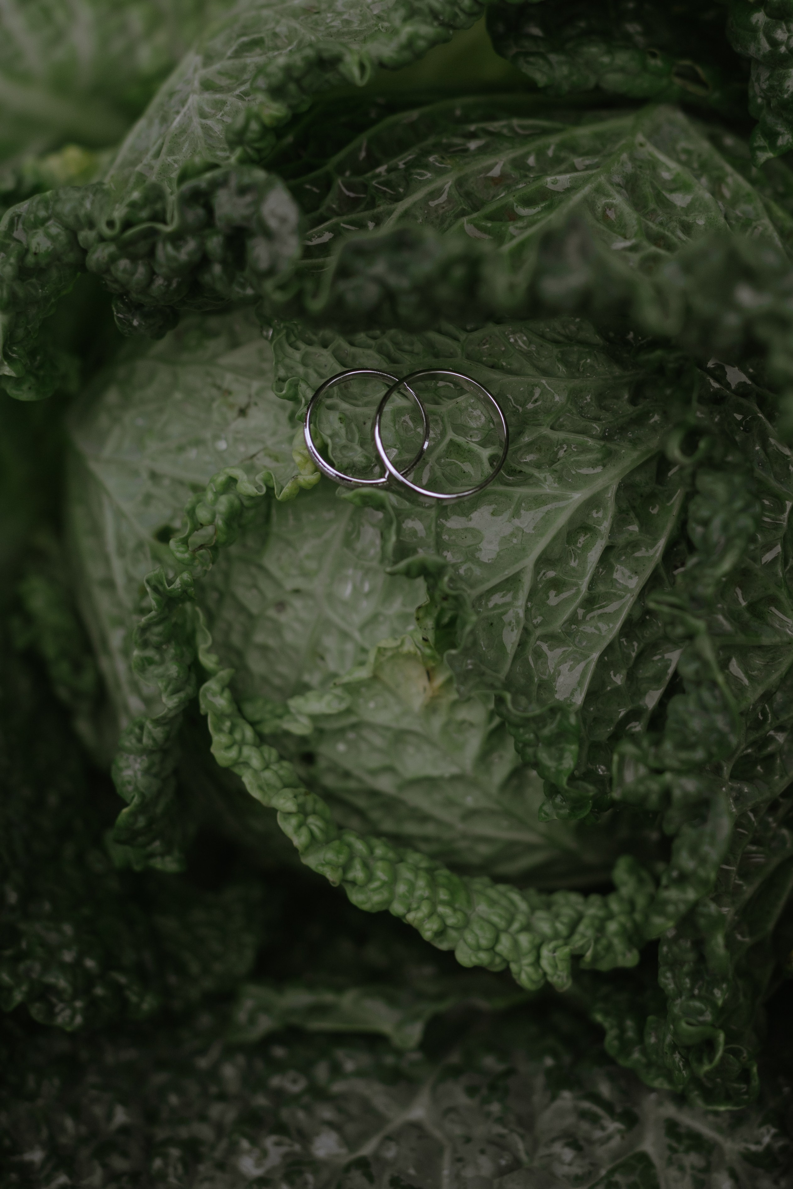 Свадебная фотосессия Камилы и Василия. @dariazphoto свадебный фотограф