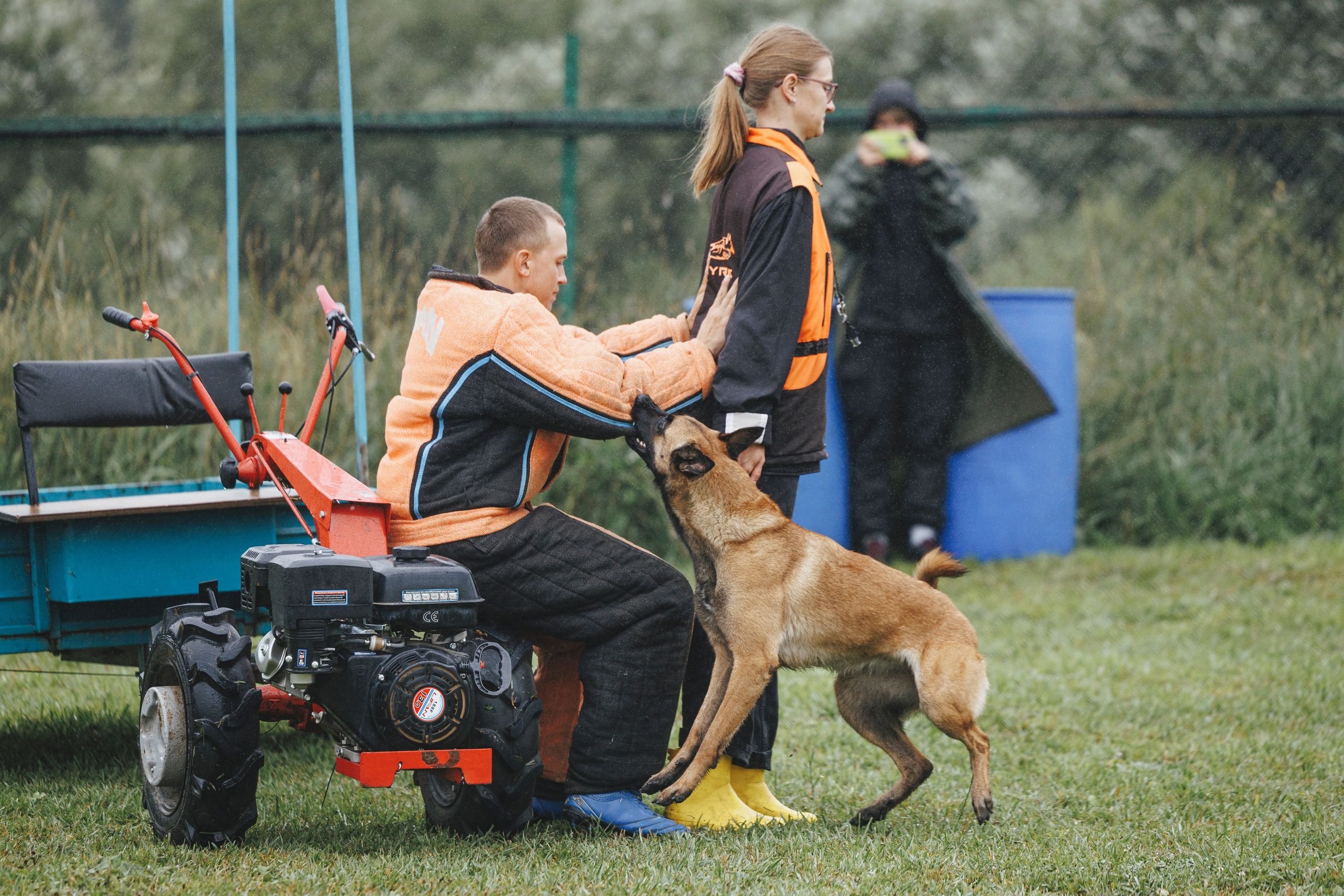 08.08.25-10.08.25 ЧР по мондьорингу г. Вологда. Фотограф-анималист Анна Маринич