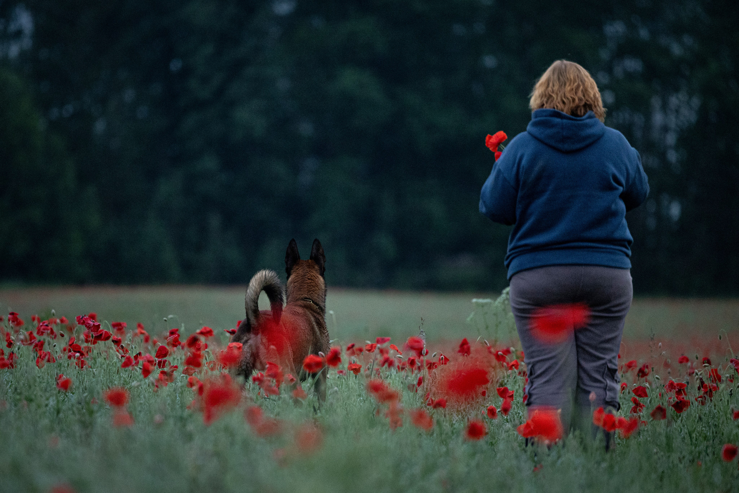 Маковое поле. Фотограф-анималист Анна Маринич