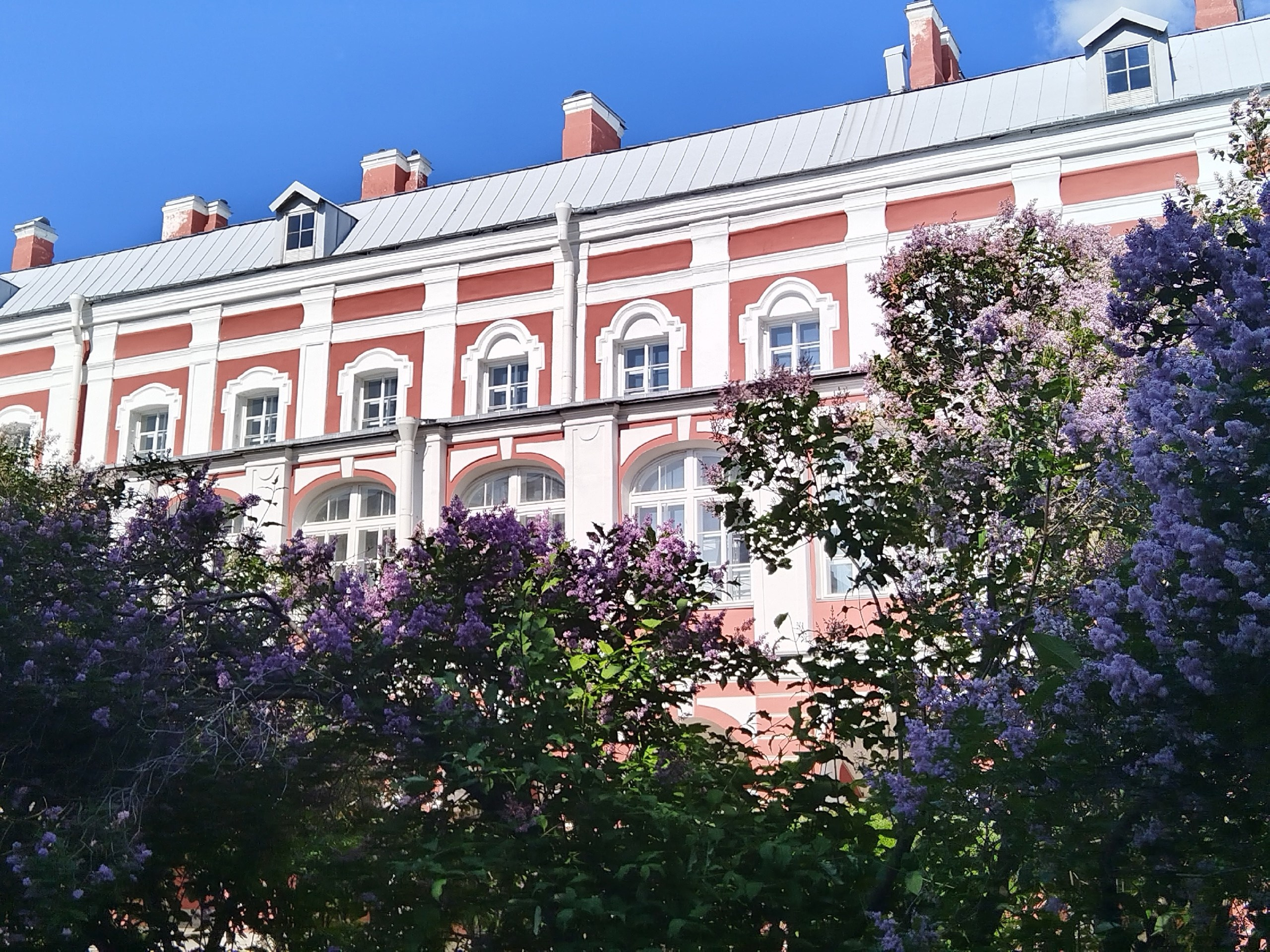 Экскурсия «Остров просвещения» (12.07.25). Автор: Марина Чумакова