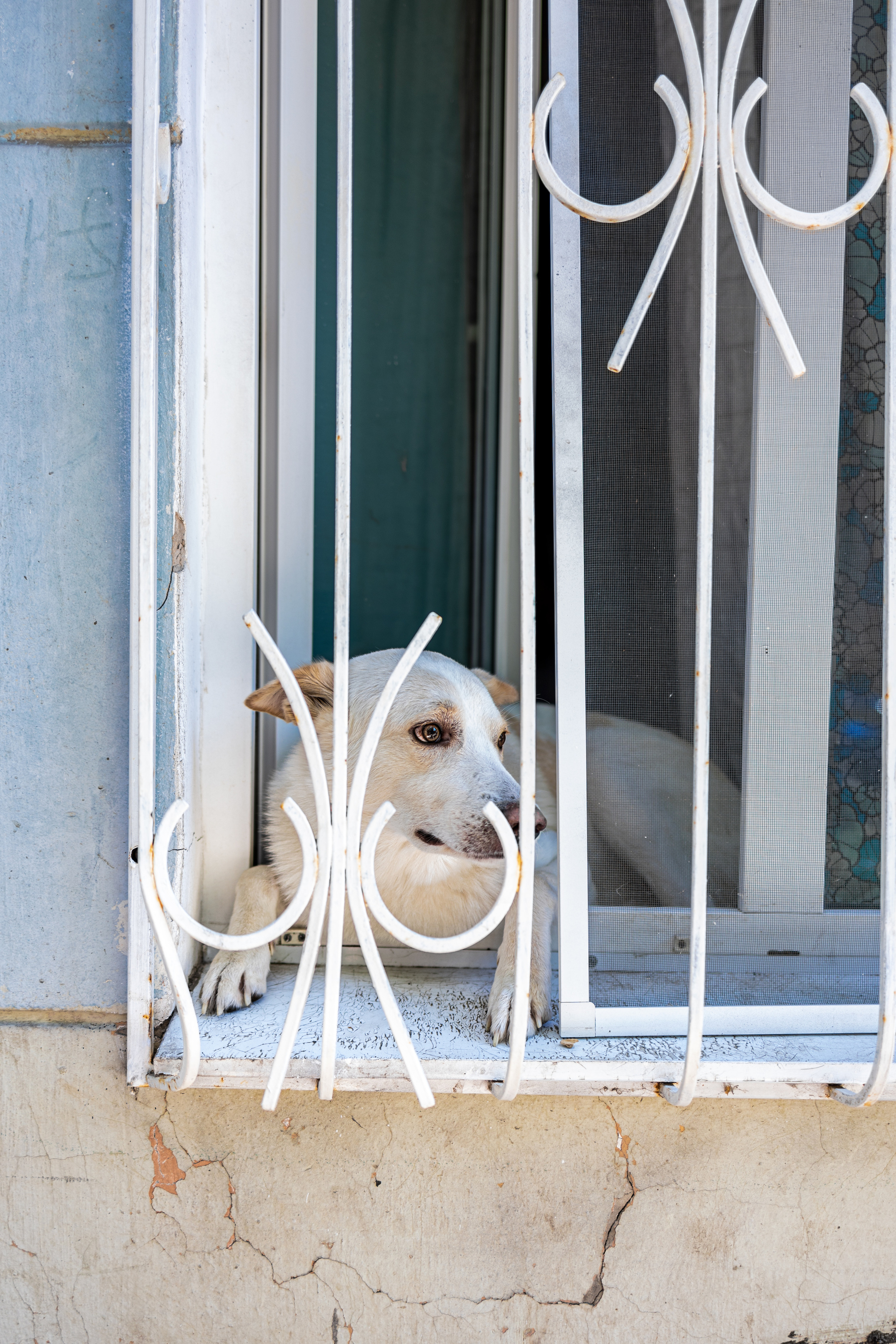 Фотографии достопримечательностей города Самара. Фотография. Юрий Савин