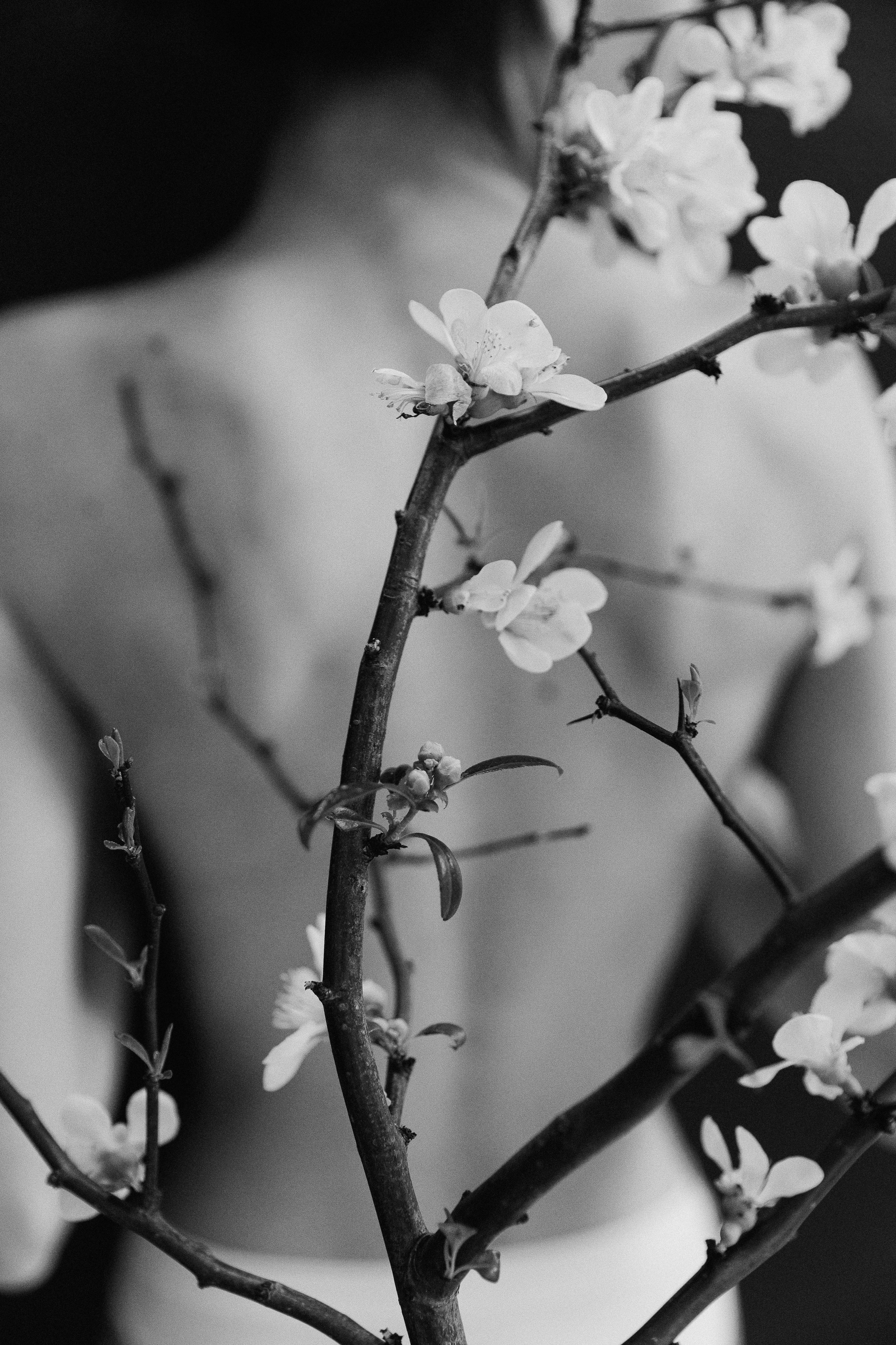 Алена. Фотограф в Москве Людмила Малова