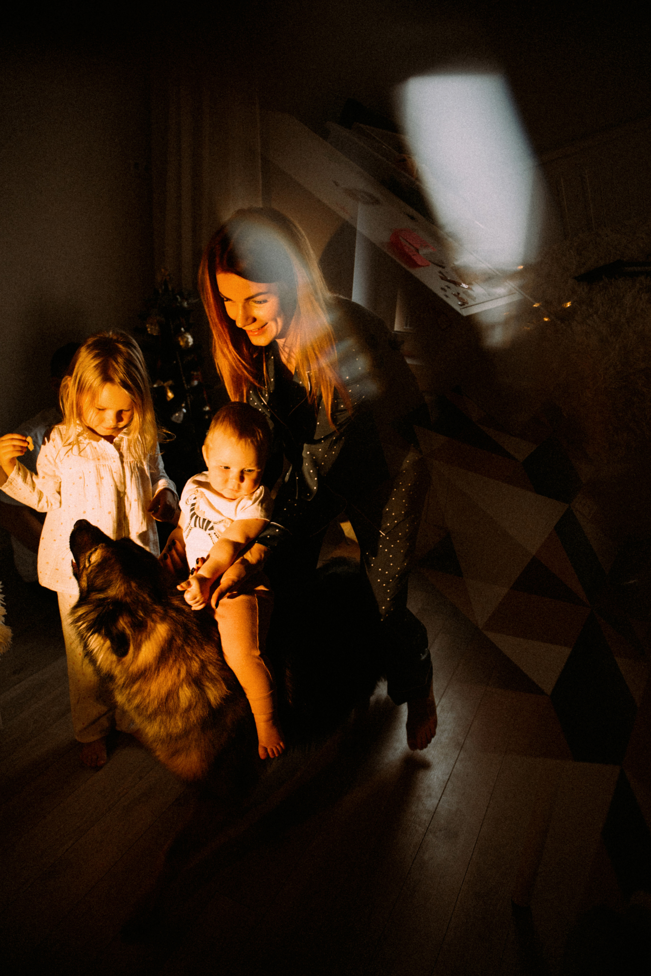 Новый год дома. Фотограф Москва Татьяна Гайдаржи