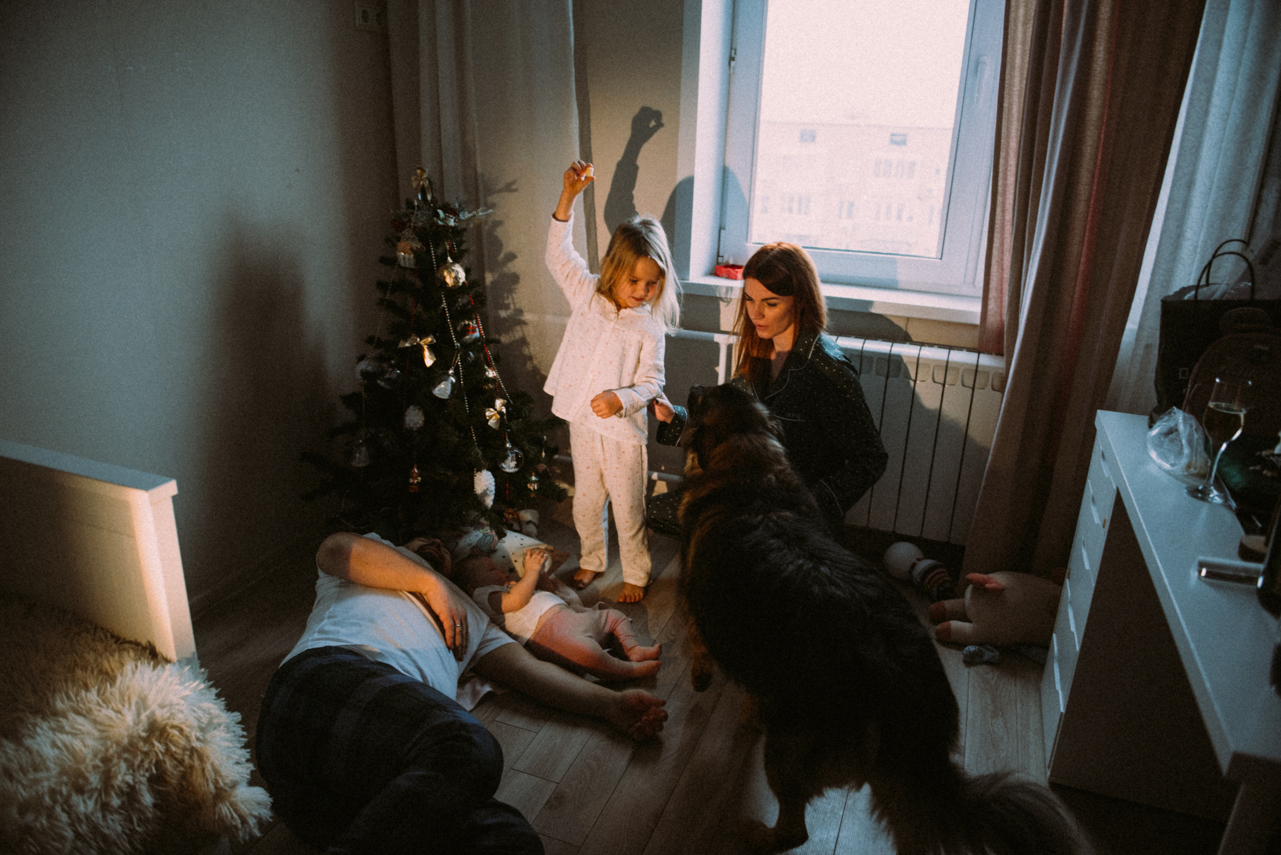 Новый год дома. Фотограф Москва Татьяна Гайдаржи