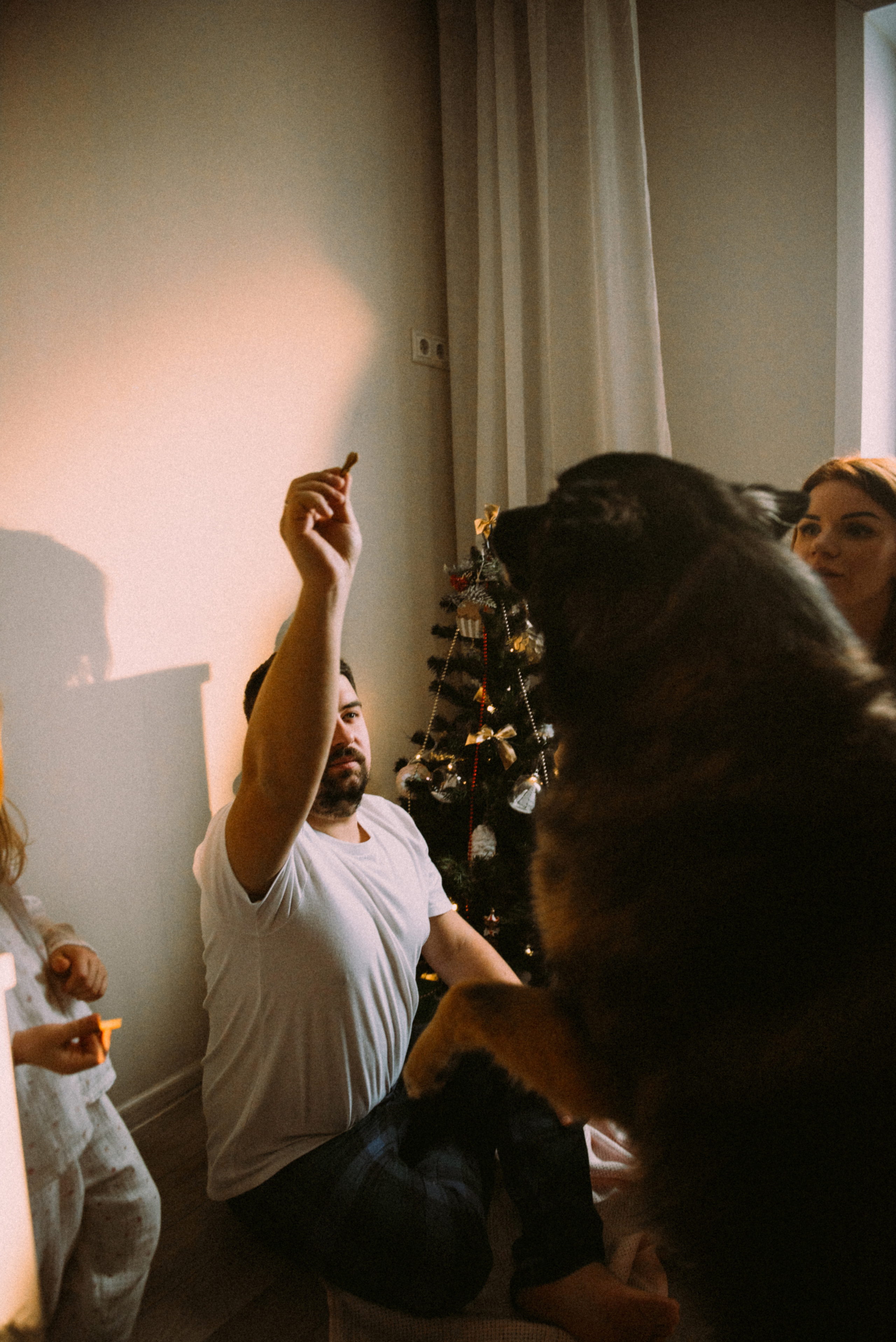 Новый год дома. Фотограф Москва Татьяна Гайдаржи