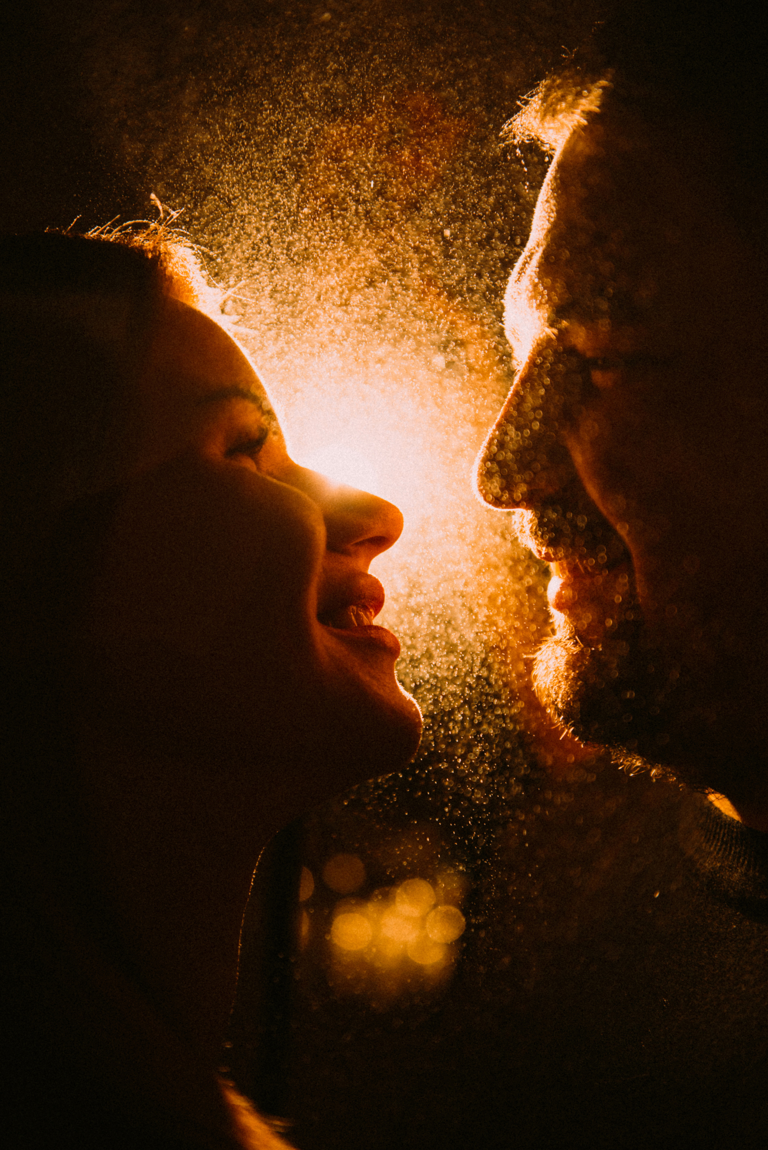 Новый год дома. Фотограф Москва Татьяна Гайдаржи