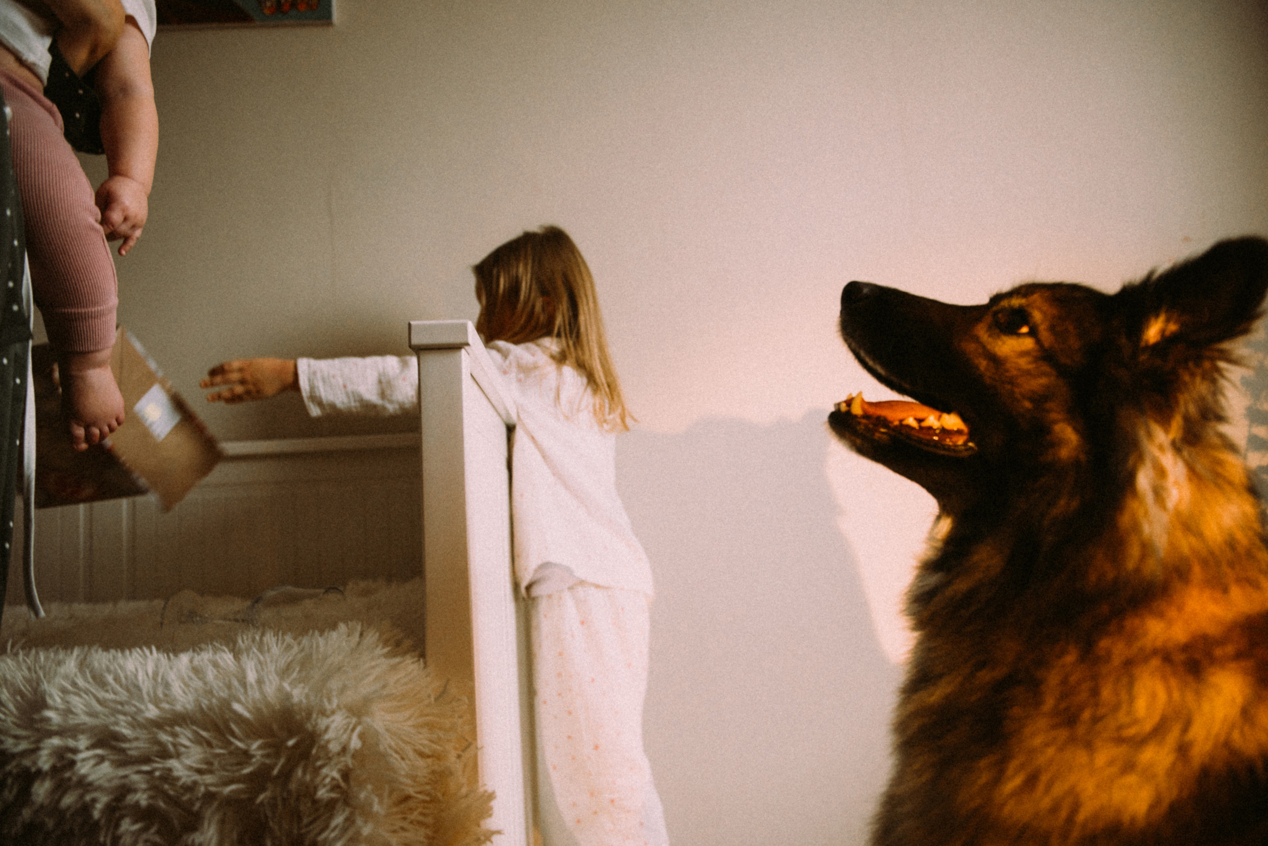 Новый год дома. Фотограф Москва Татьяна Гайдаржи