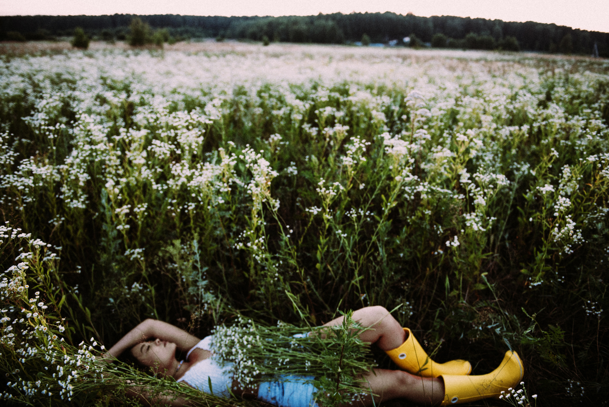 Свидание с ромашками. Фотограф Москва Татьяна Гайдаржи