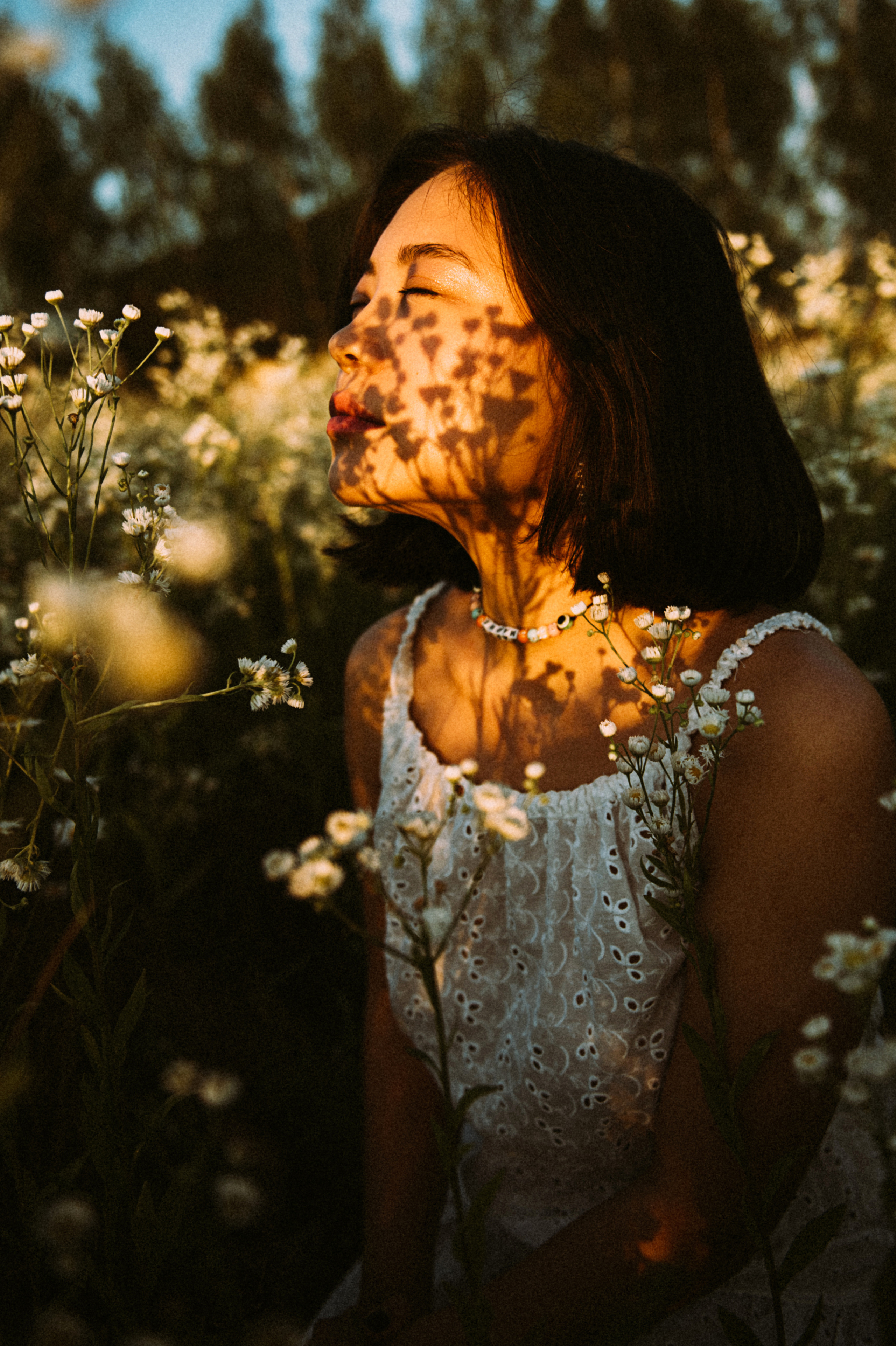 Свидание с ромашками. Фотограф Москва Татьяна Гайдаржи