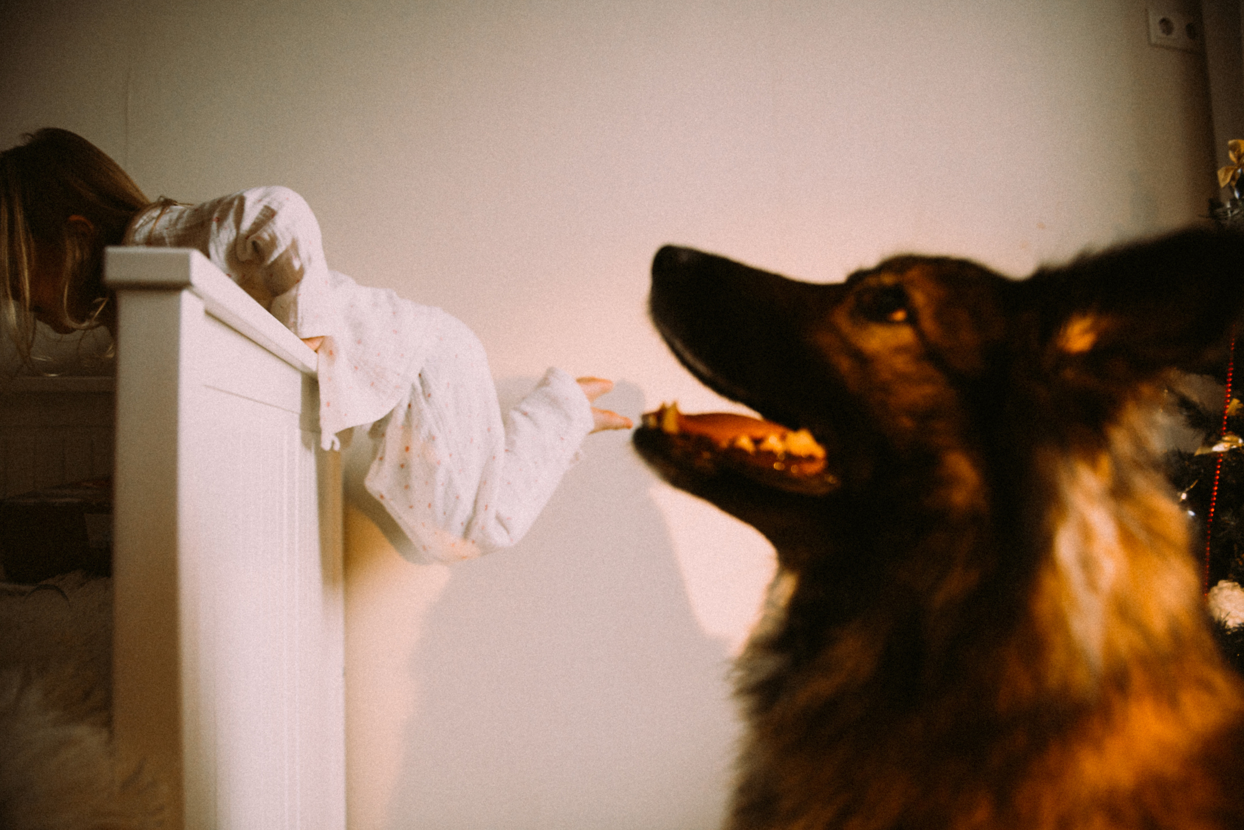 Новый год дома. Фотограф Москва Татьяна Гайдаржи