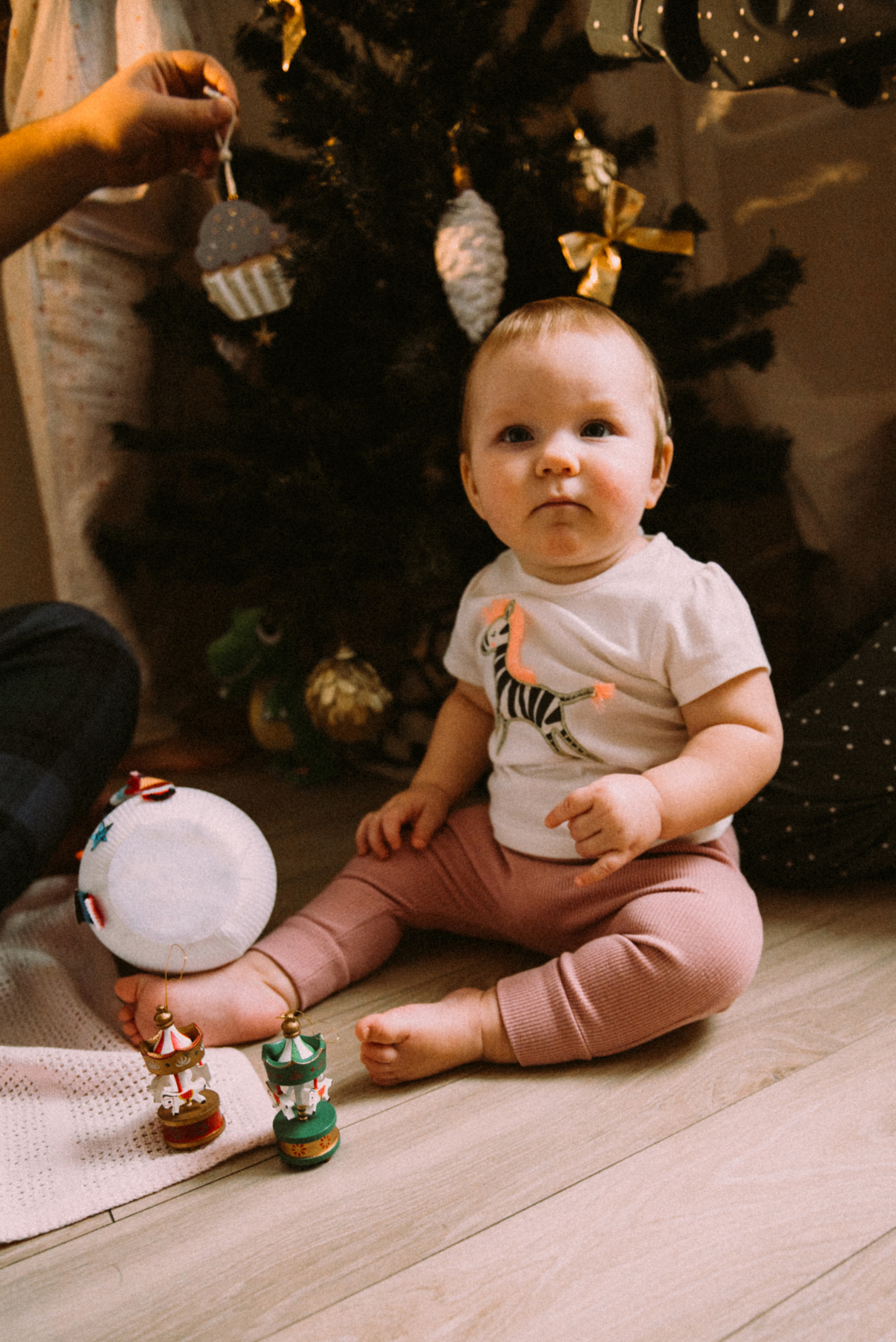 Новый год дома. Фотограф Москва Татьяна Гайдаржи