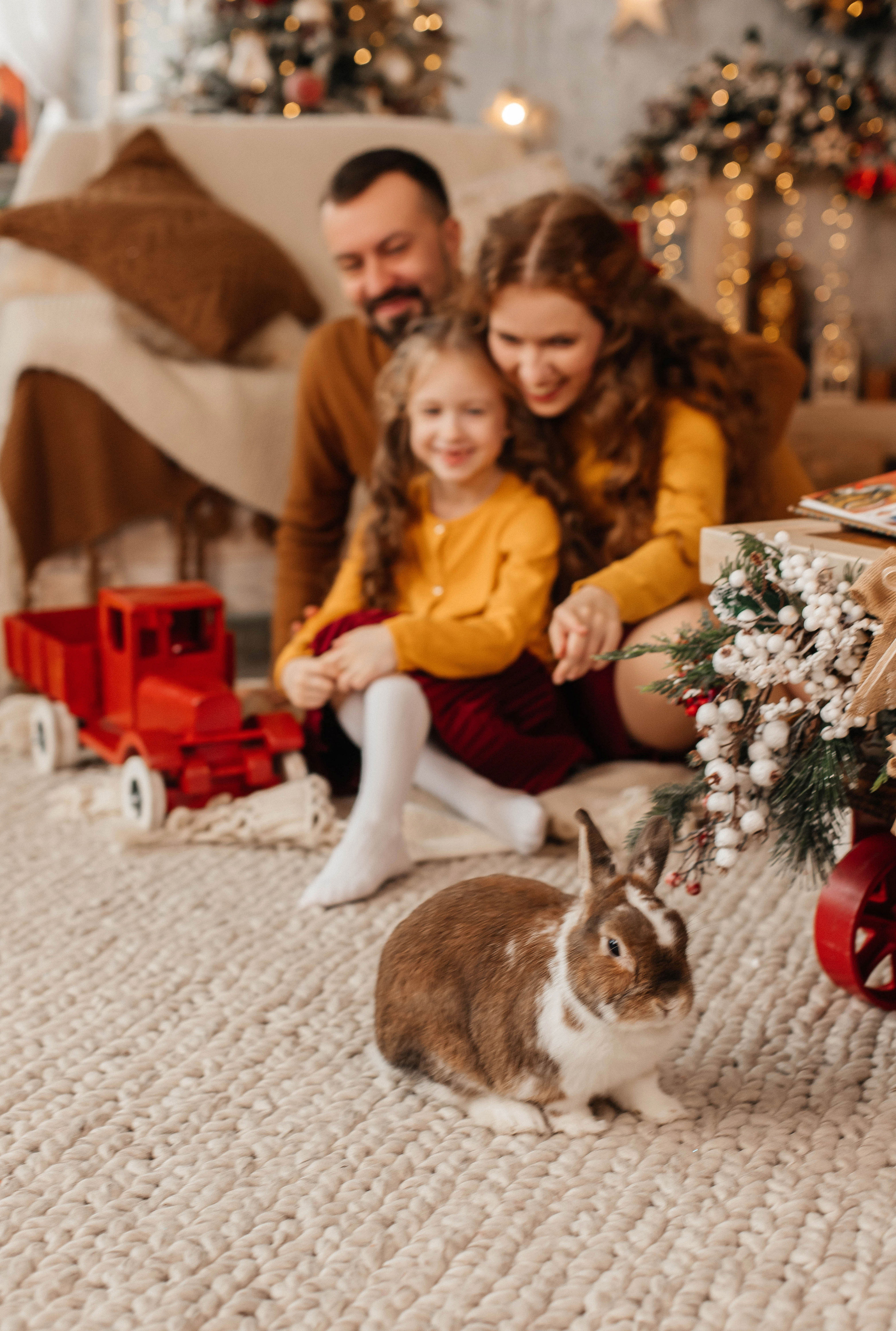 Новогодняя семейная фотосессия в студии с ребенком. Свадебный и семейный фотограф в Москве