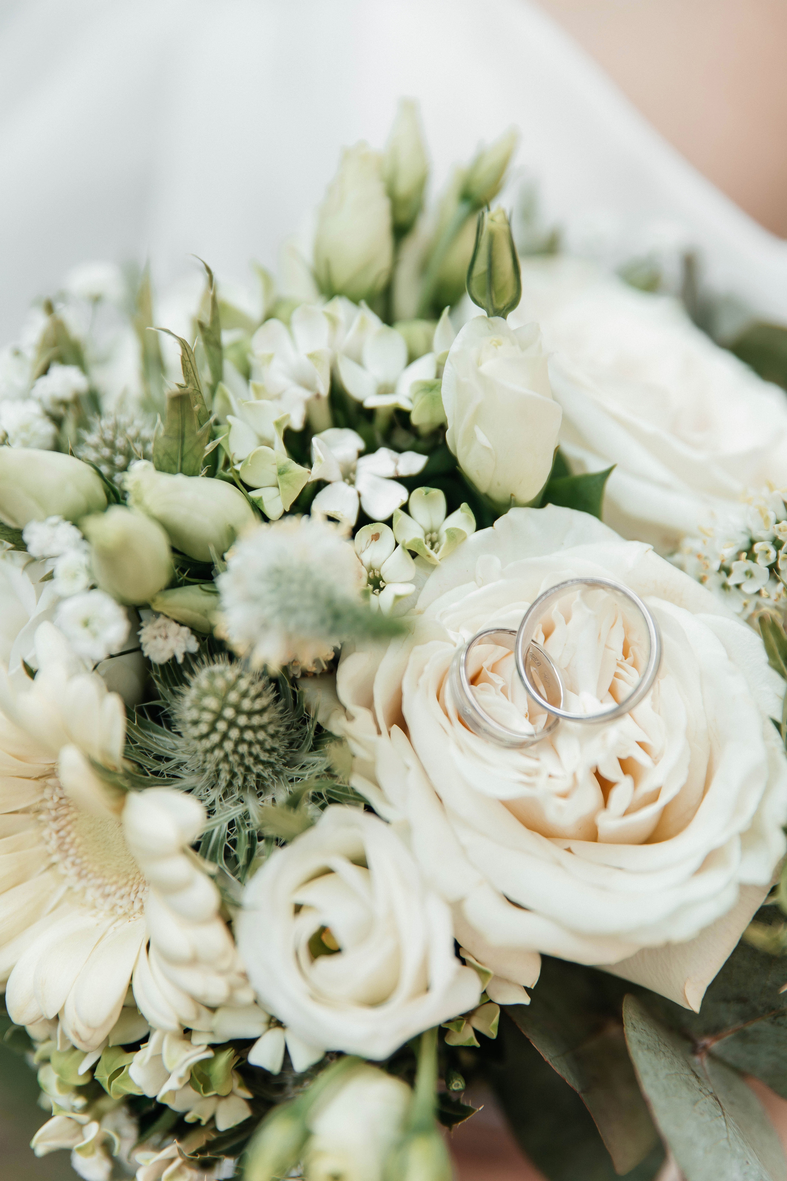 Свадебная фотосессия в Серебряном Бору. Свадебный и семейный фотограф в Москве