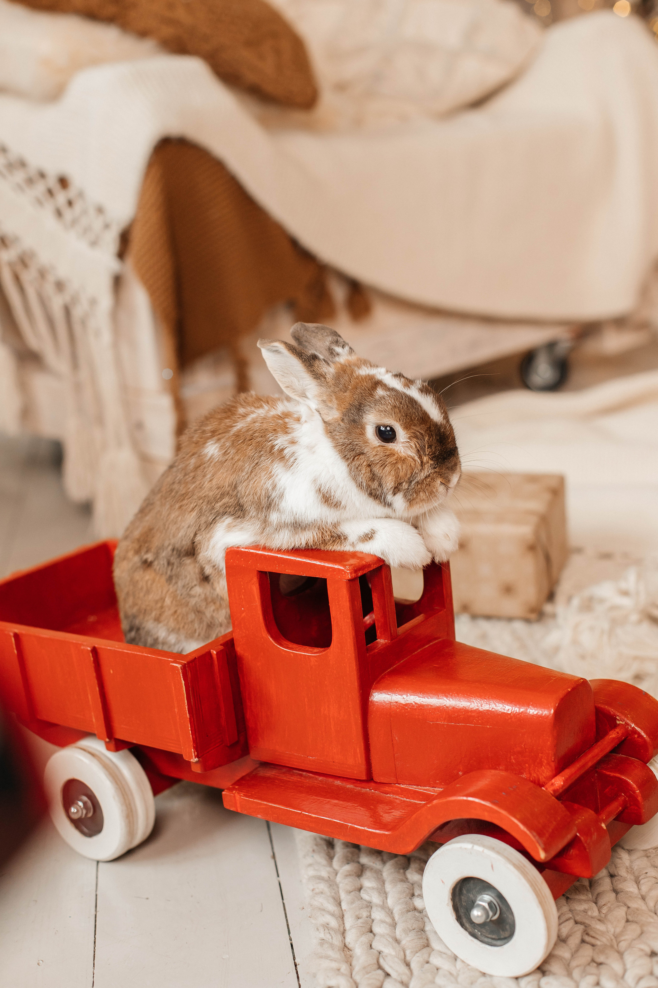 Новогодняя семейная фотосессия в студии с ребенком. Свадебный и семейный фотограф в Москве