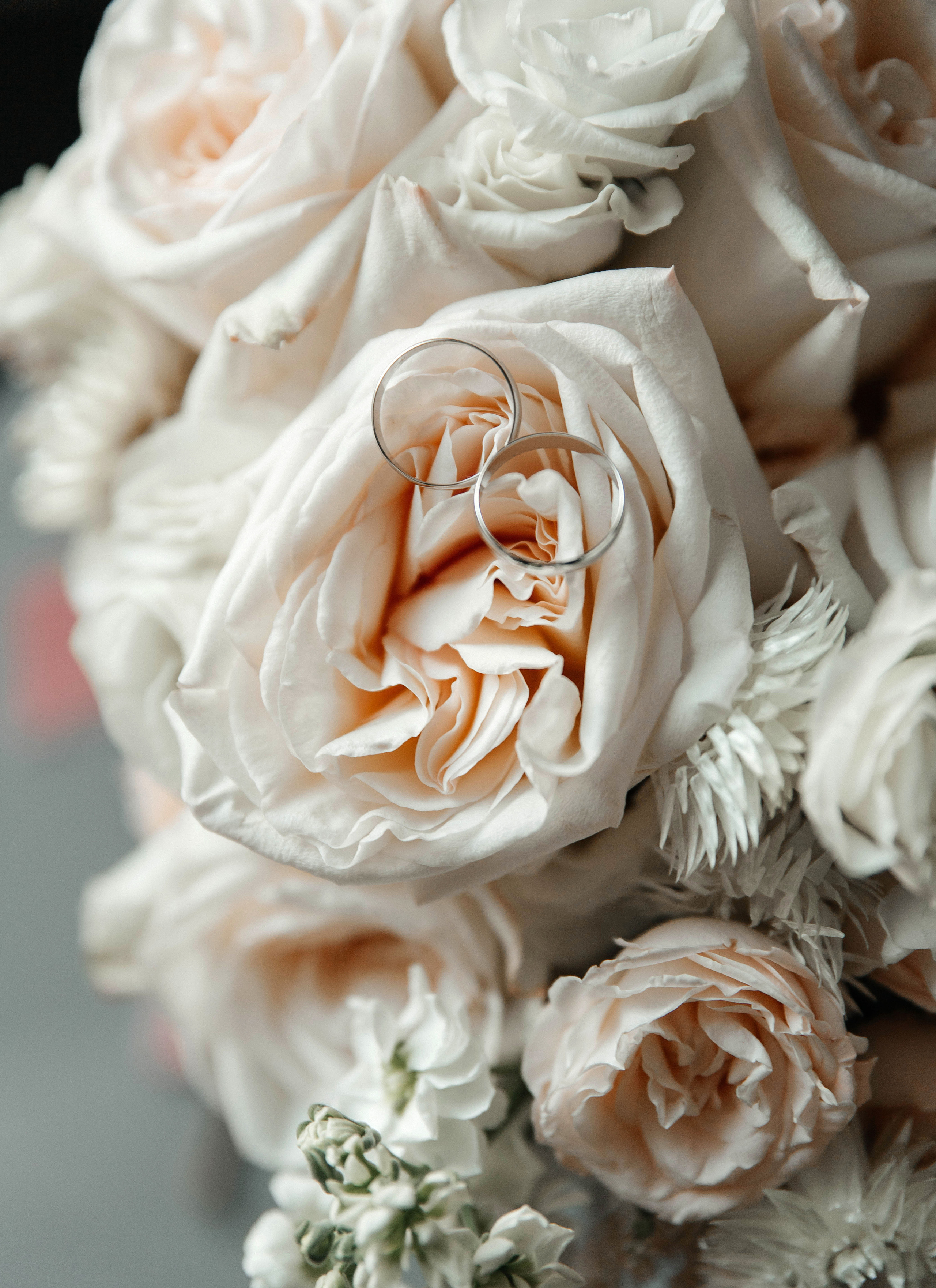 Свадебная фотосессия возле МГУ. Свадебный и семейный фотограф в Москве