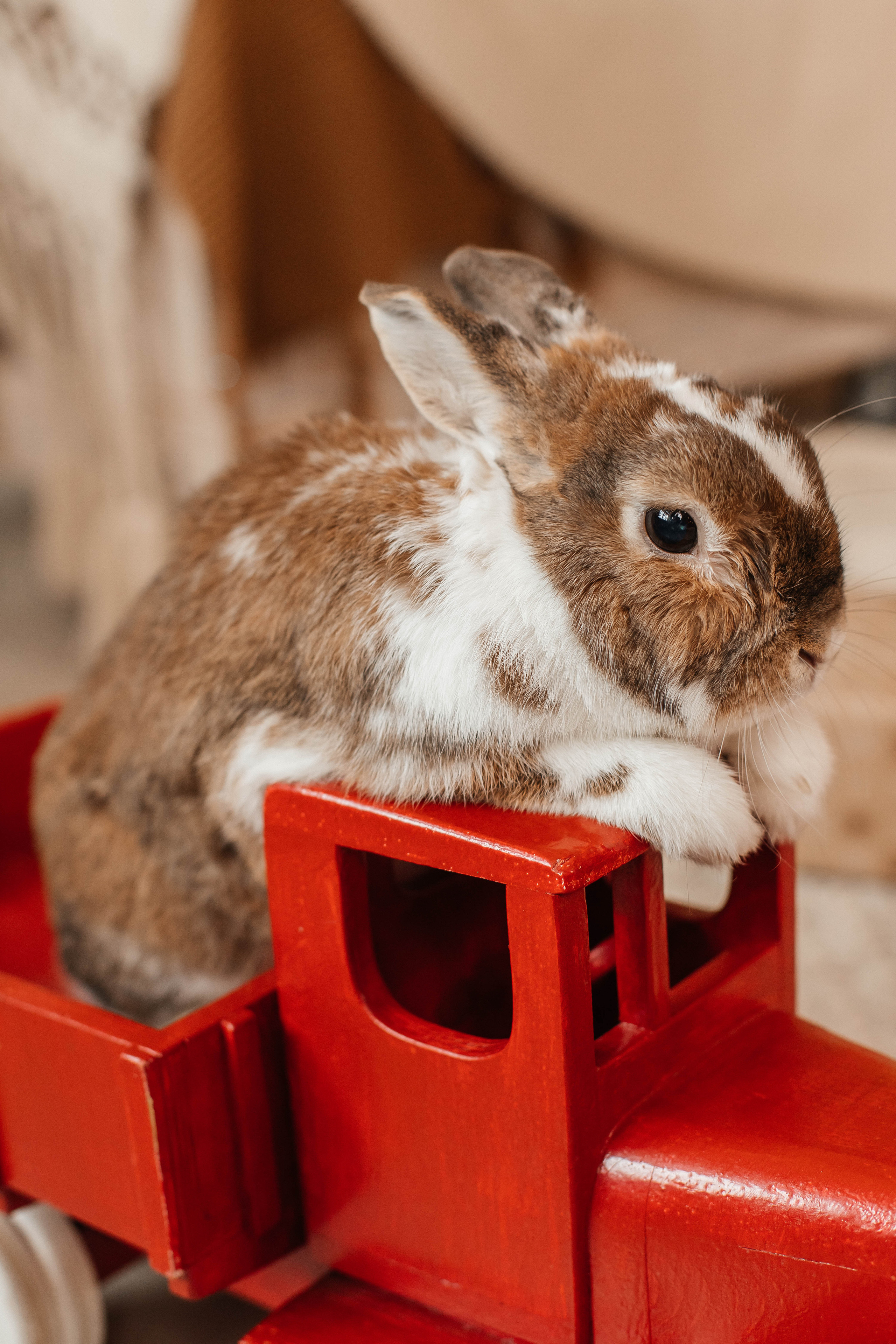 Новогодняя семейная фотосессия в студии с ребенком. Свадебный и семейный фотограф в Москве