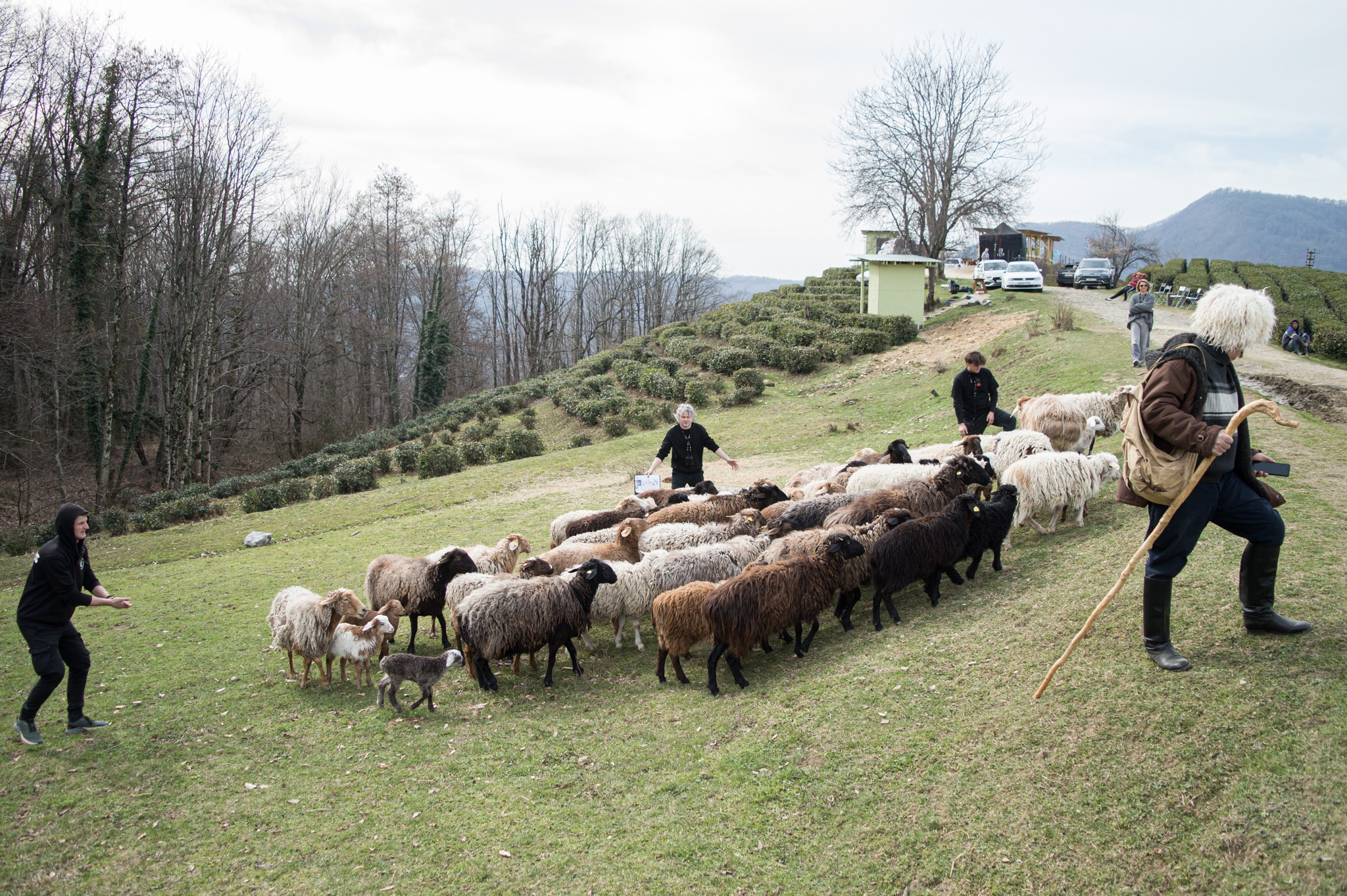 Мегафон. Любовь Игнатьева фотограф видеограф креативные фотосессии Сочи