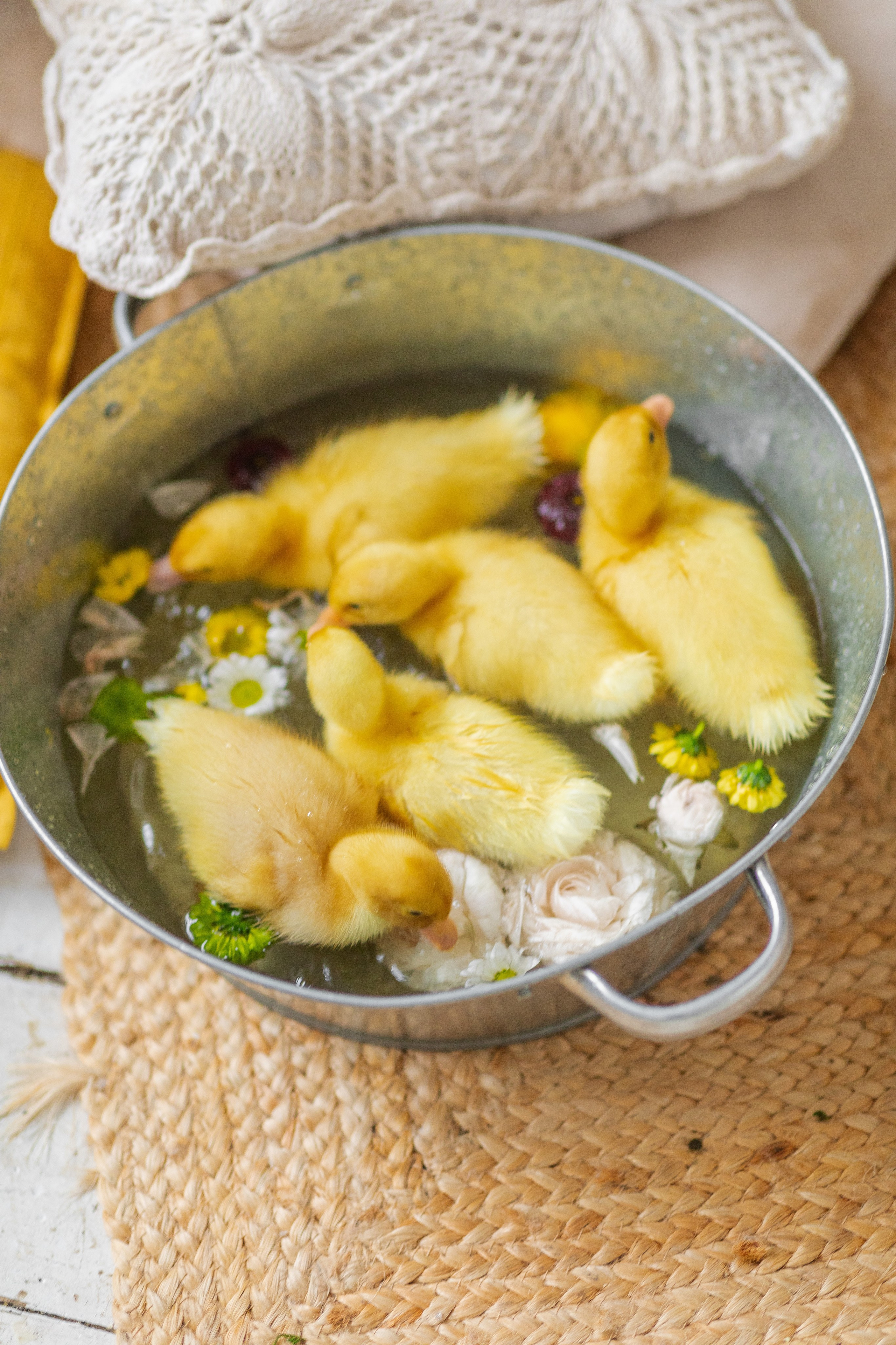 С животными. A.Novinskaya