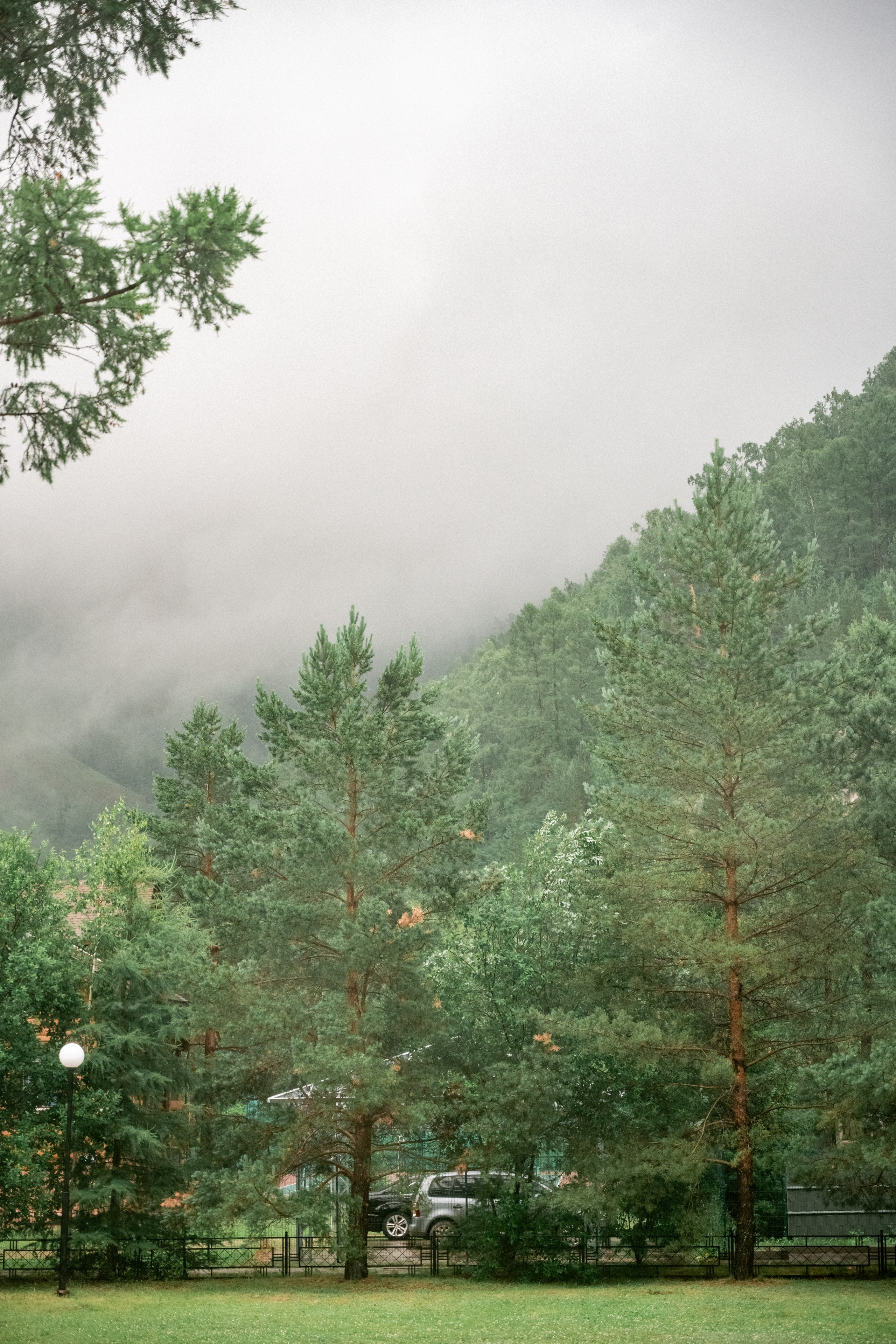 Свадьба Романа и Анастасии