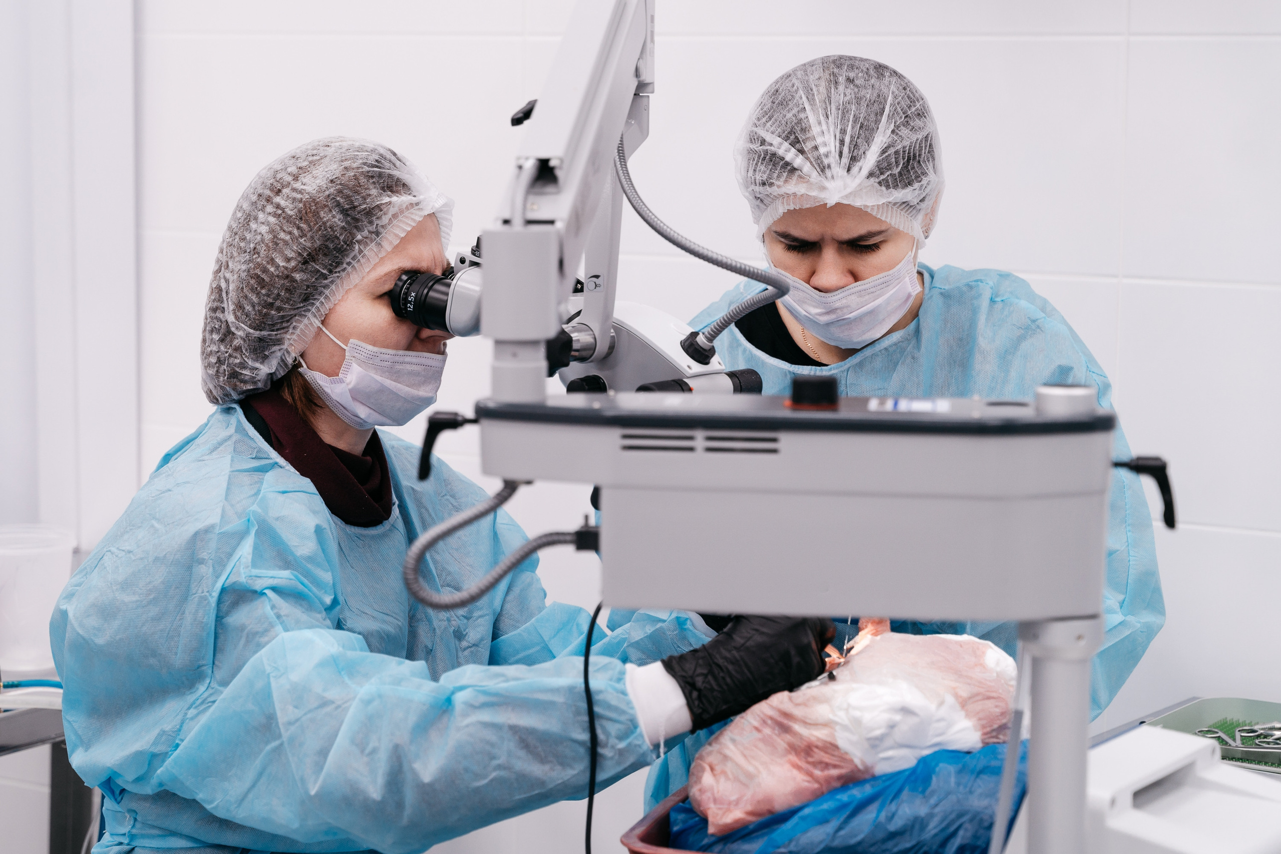 Врачи. Диссекционный курс. Event фотограф Степанова Александра