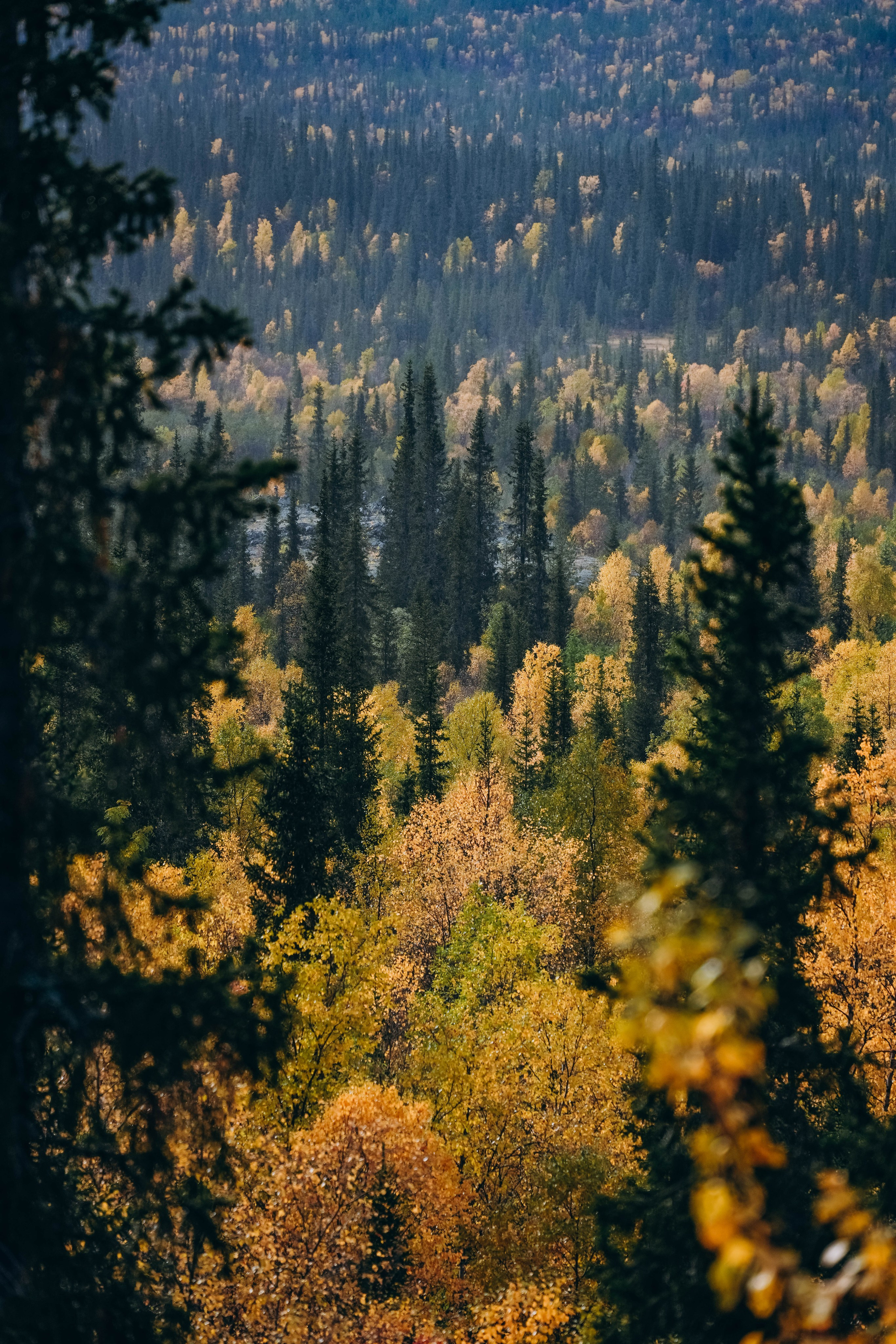 СЕВЕР. Event фотограф Степанова Александра
