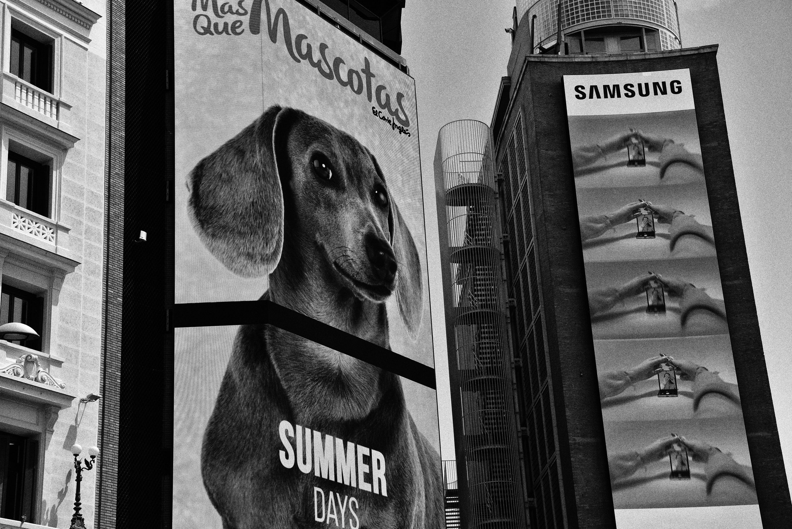 Madrid. Фотограф Милена Яновска