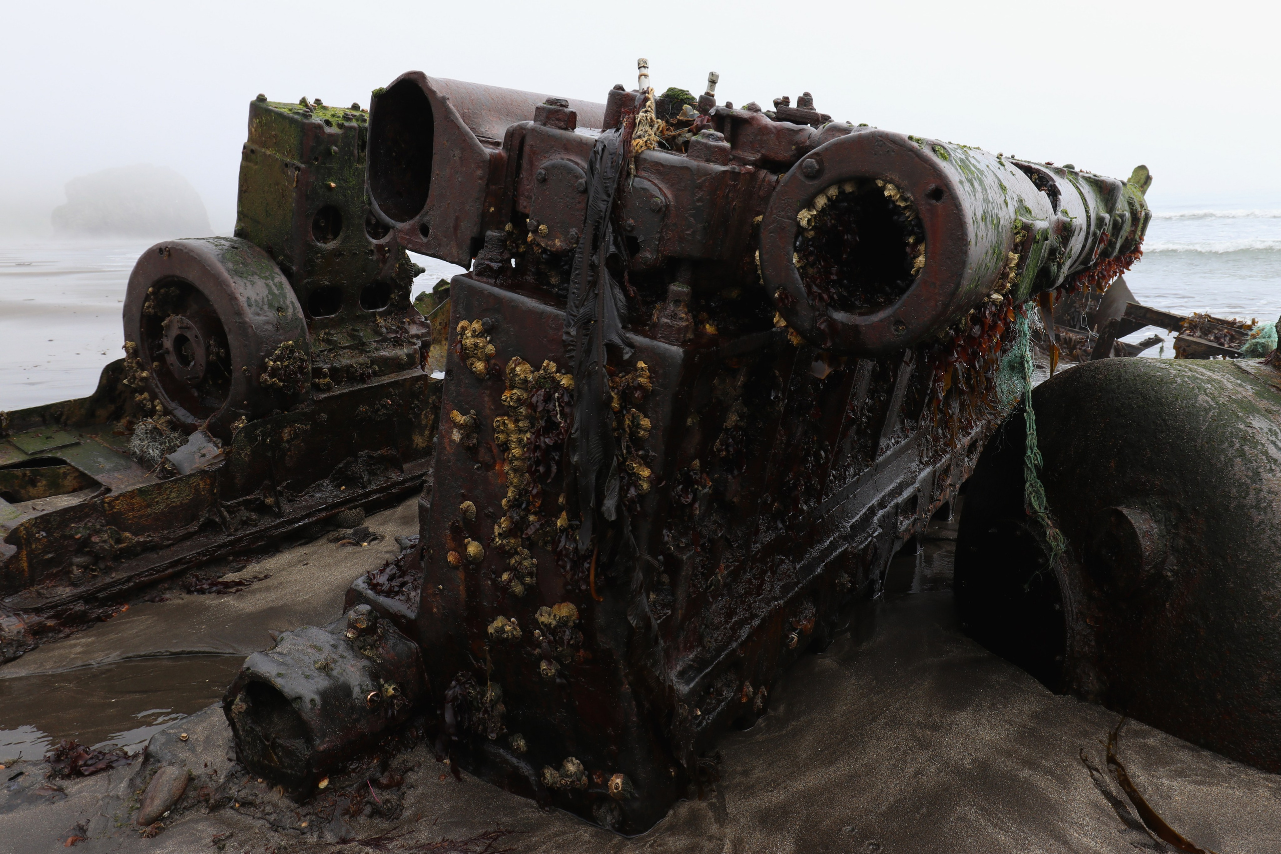 Камчатка и о. Парамушир. Июль 2024. Путешественник-фотограф из Санкт-Петербурга Татьяна Свистулина