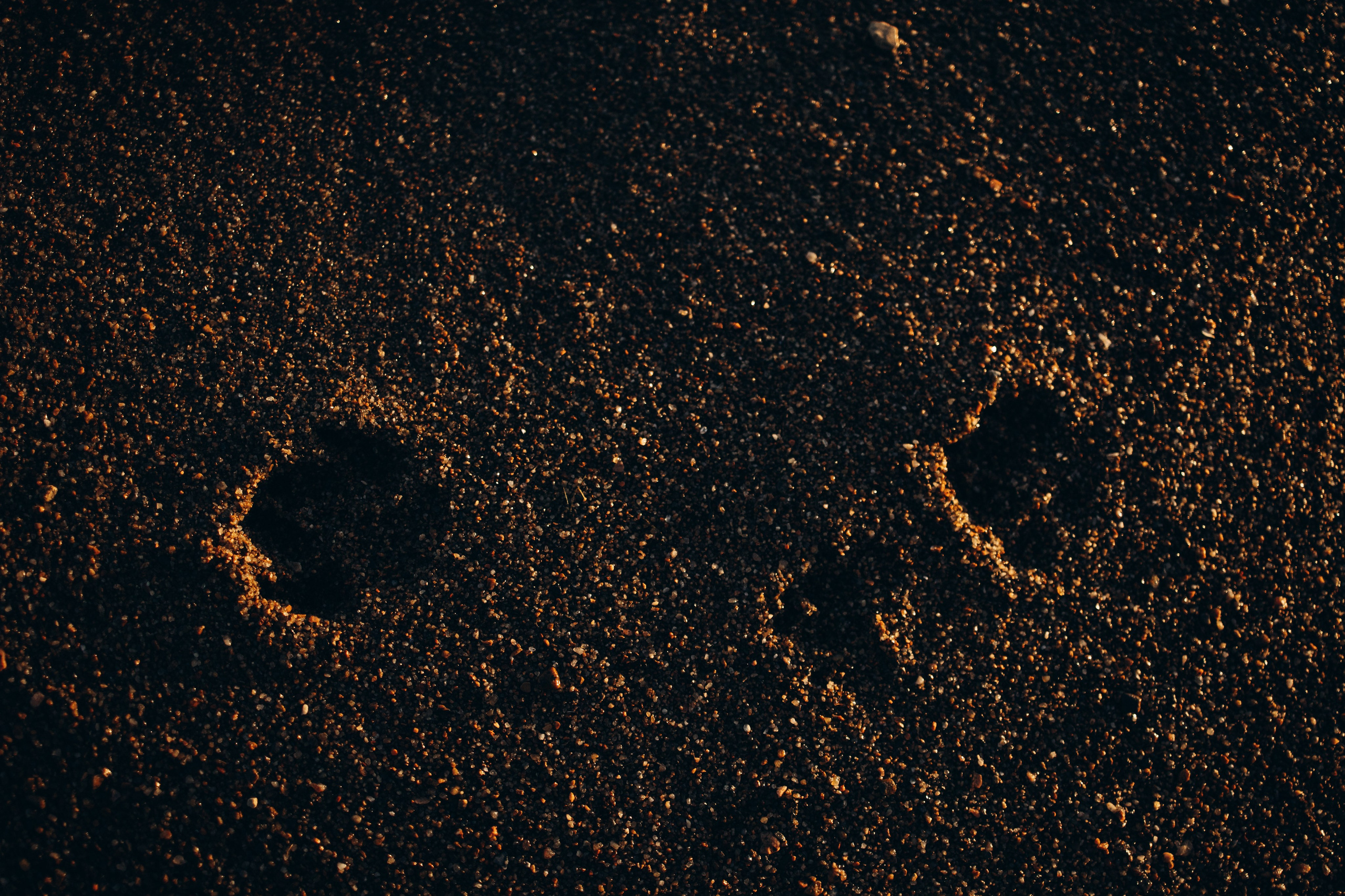 Анна и Лана. Фотограф — Анималист | Санкт-Петербург