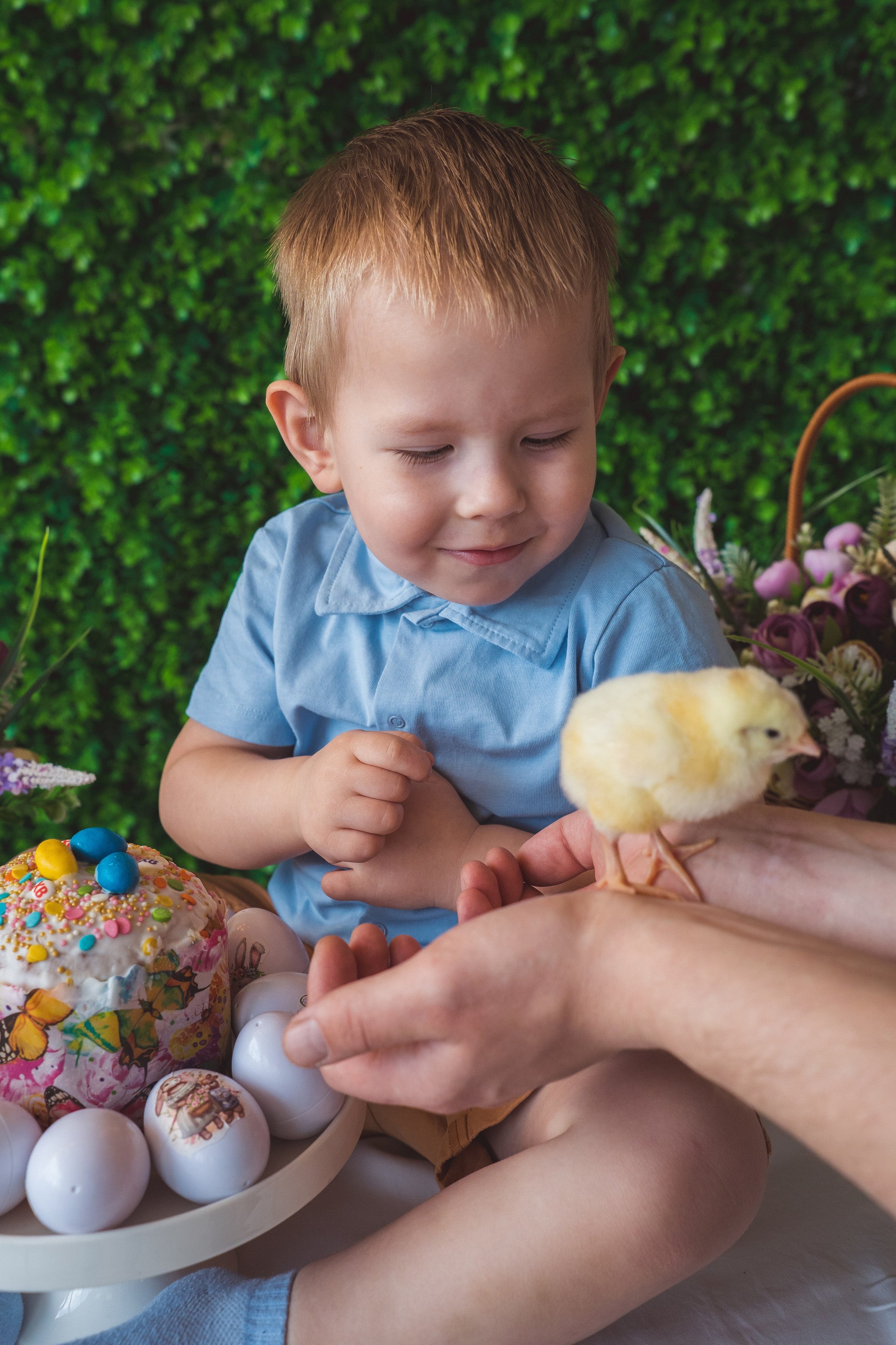 Пасхальный фотодень с цыплятами и кроликами. Фотограф Маргарита Слободянина в Хабаровске