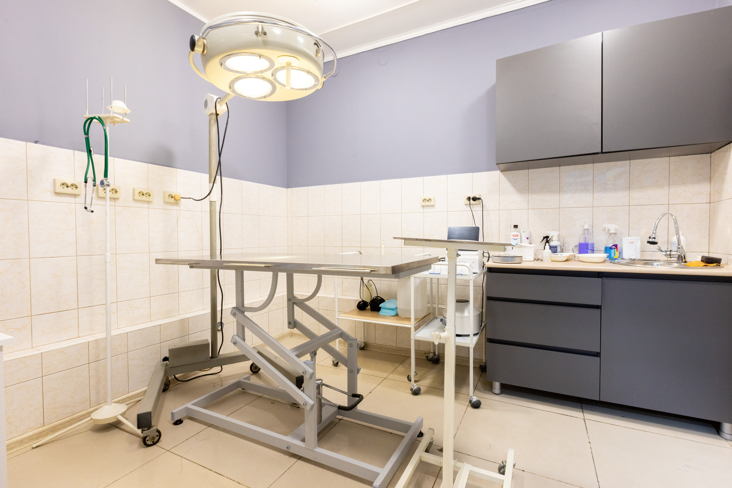 ВЕТ ТОЧКА. Фотограф в Туле Крупский АнДРей. Фотостудия «КАДР71» в Туле