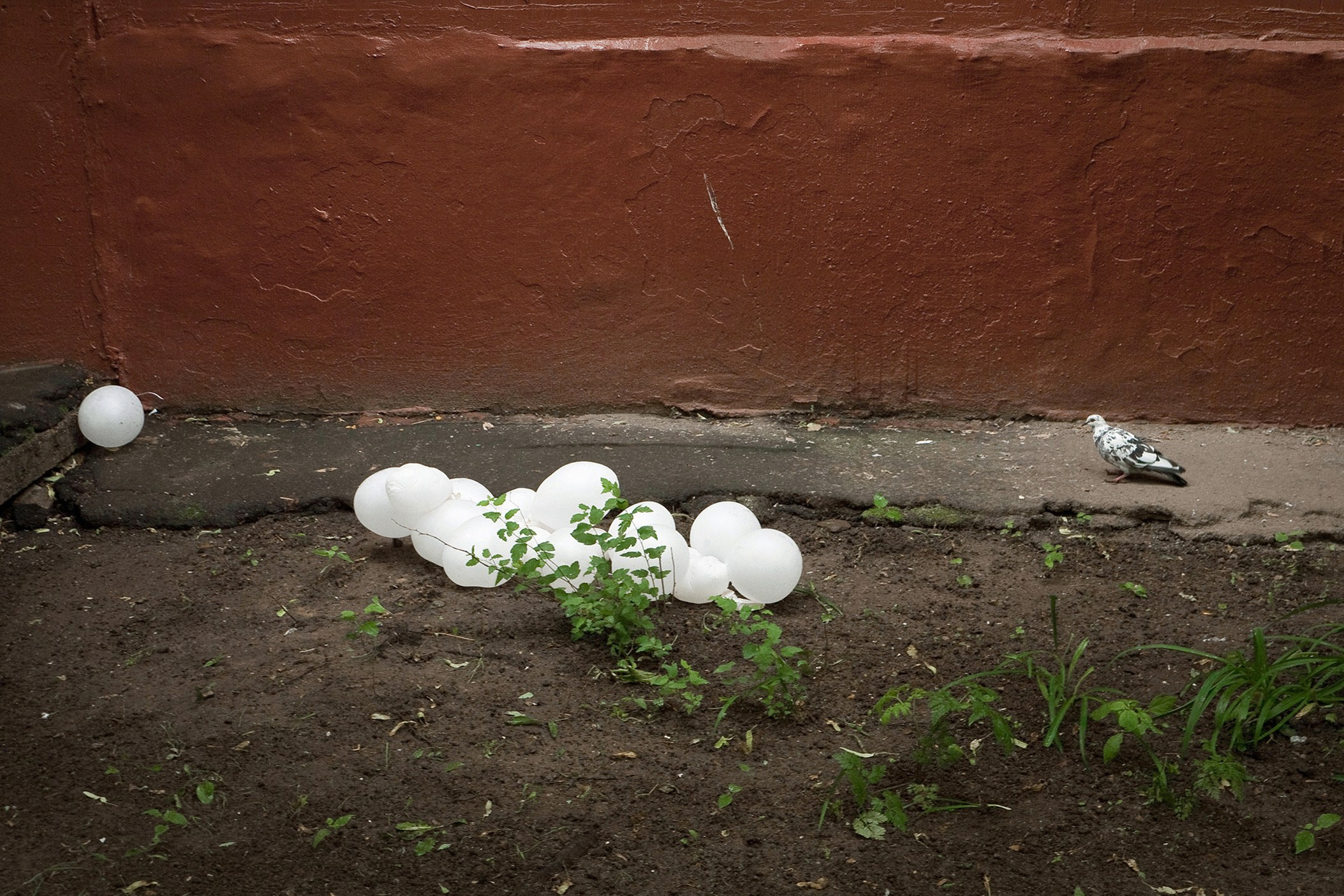 Симуляторы (Каталог № 1). Главная