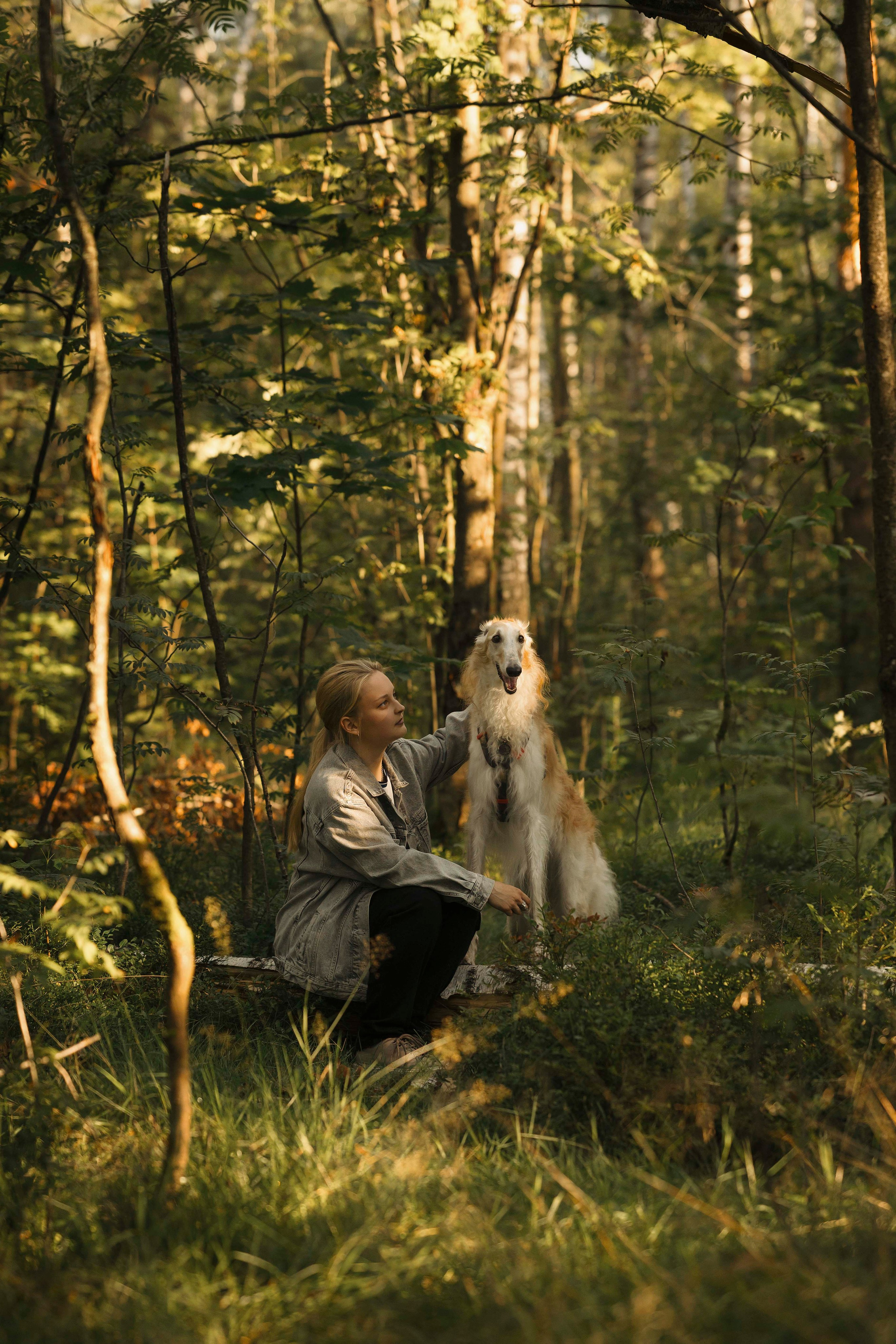 Тайга. Фотограф- анималист Александра Матвеева