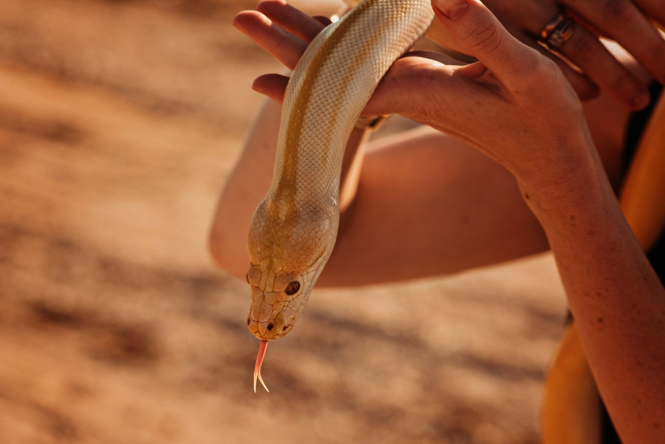 Фотодень со змеей. Детский и семейный фотограф выпускной альбом Приморско-Ахтарск