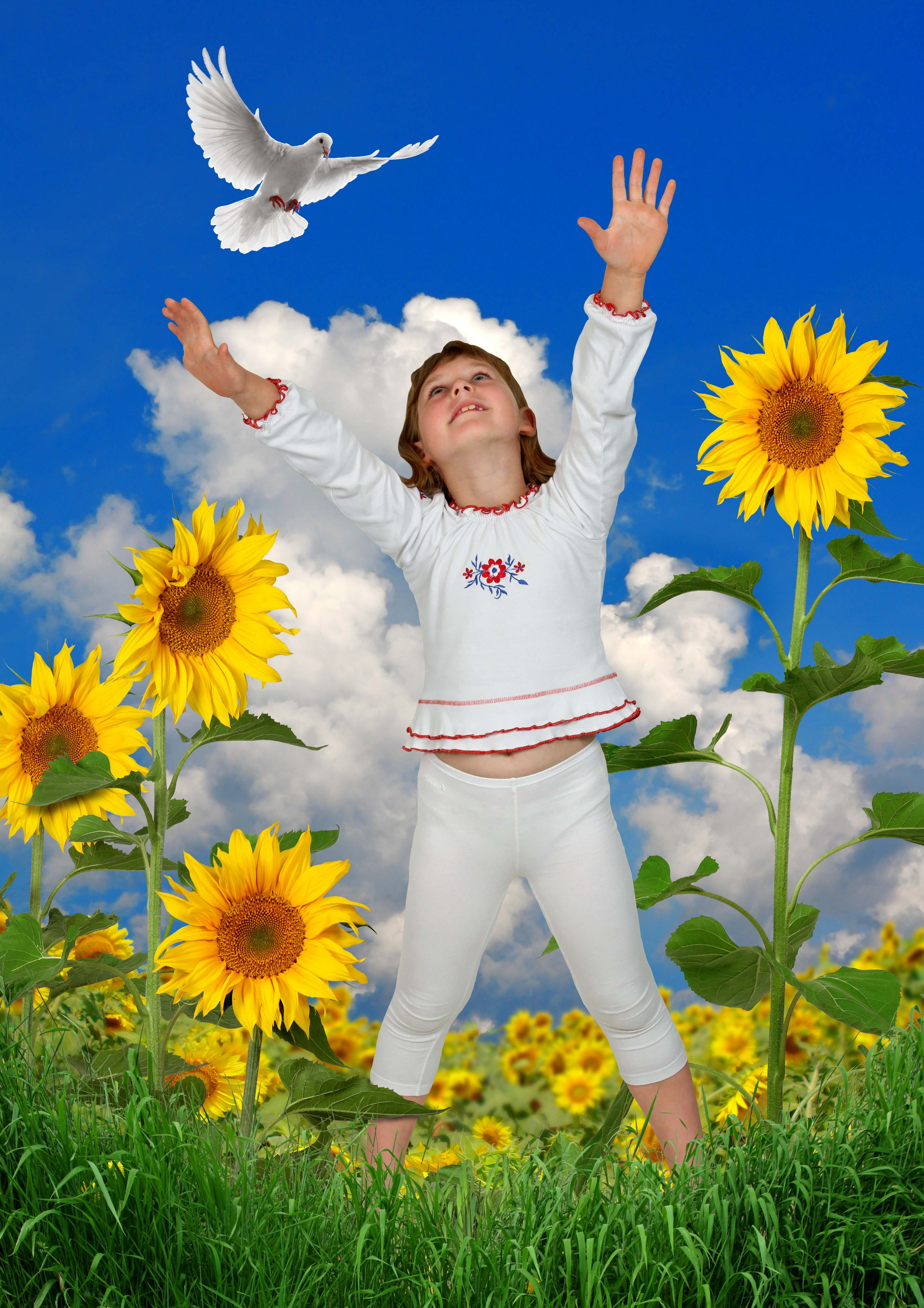 Лето. Выпускные фотокниги, фотосъемка, видеосъемка в Челябинске и области