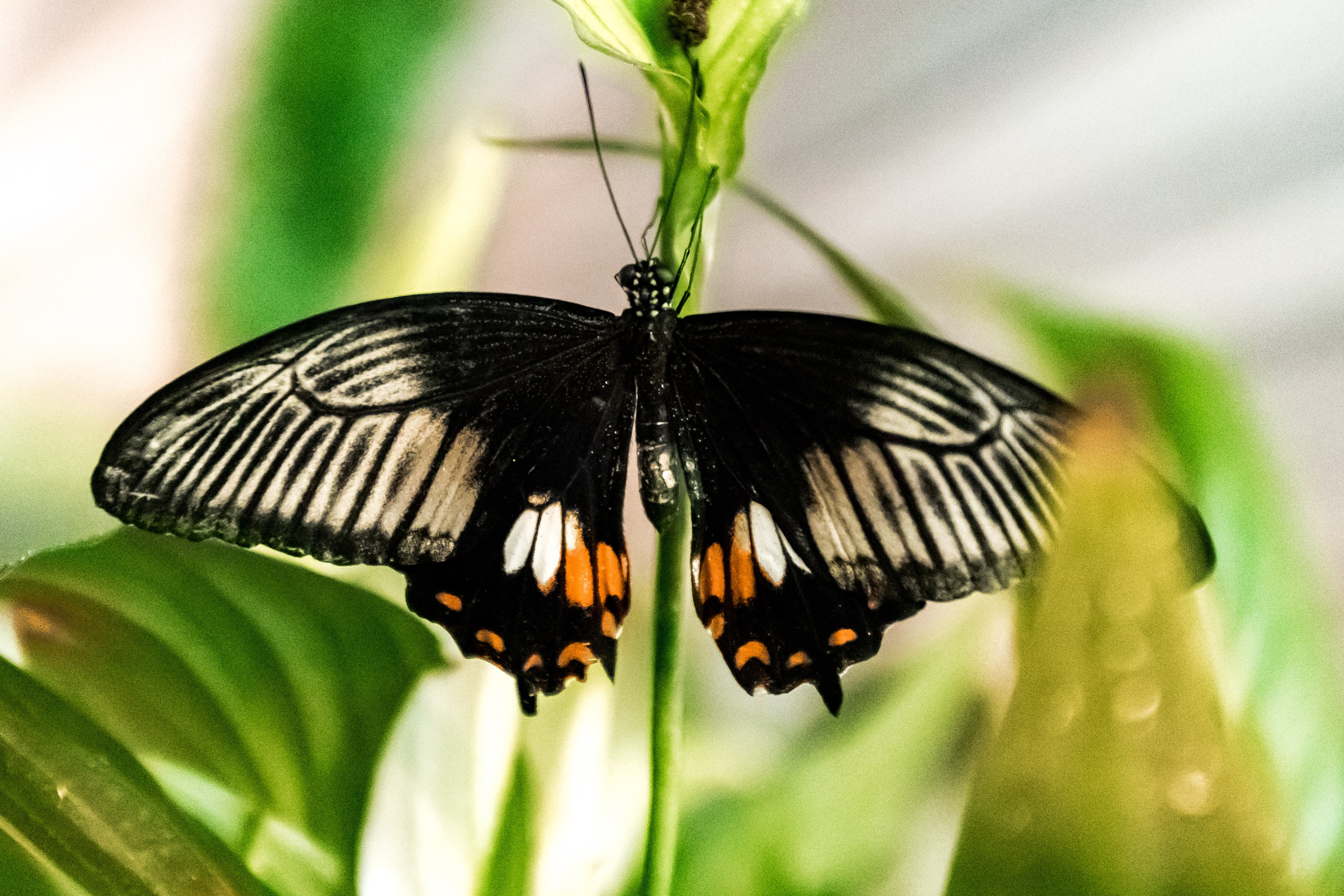 Фотосъемка коммерческих помещений для сайта, карт, соц.сетей. Интерьеры, Контент, Портреты | Фотограф в Москве Дани Терно