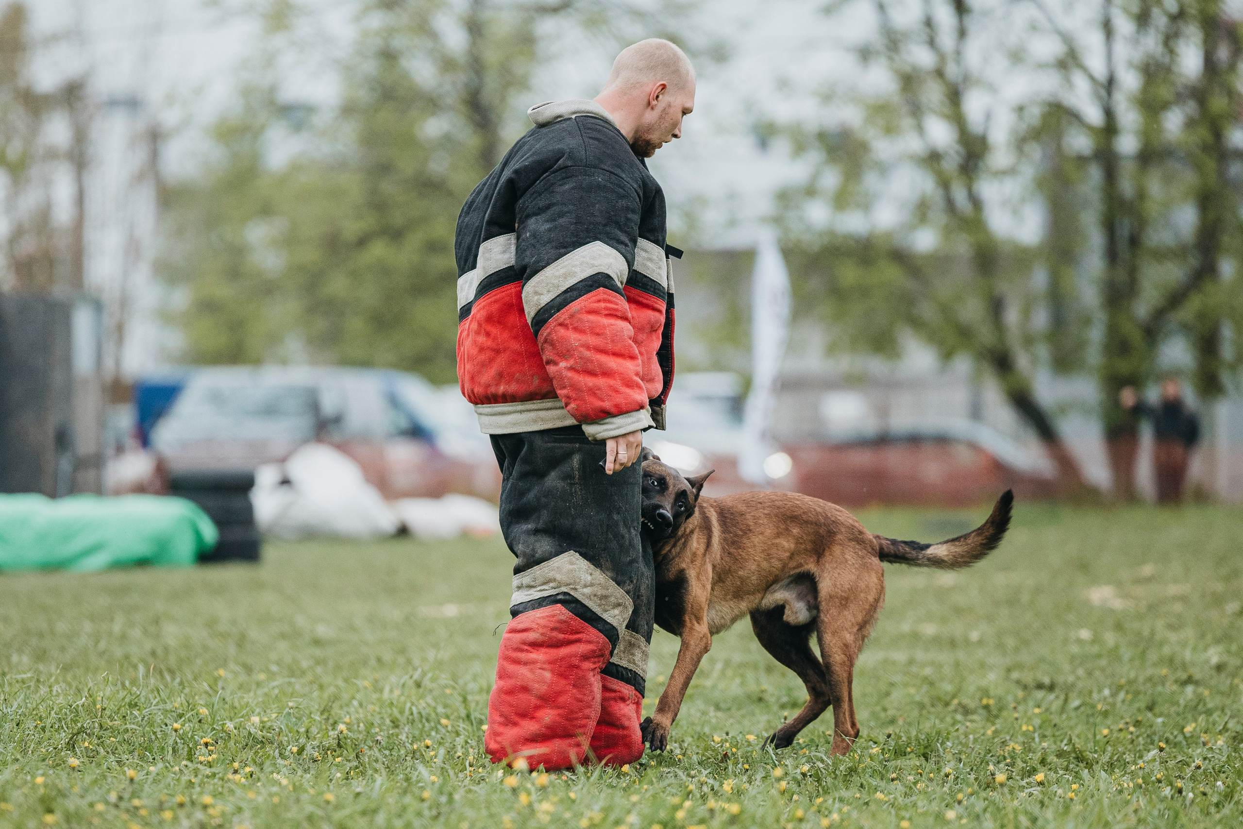 26.05.25 г. Пушкин квалификационные соревнования. Фотограф-анималист Анна Маринич