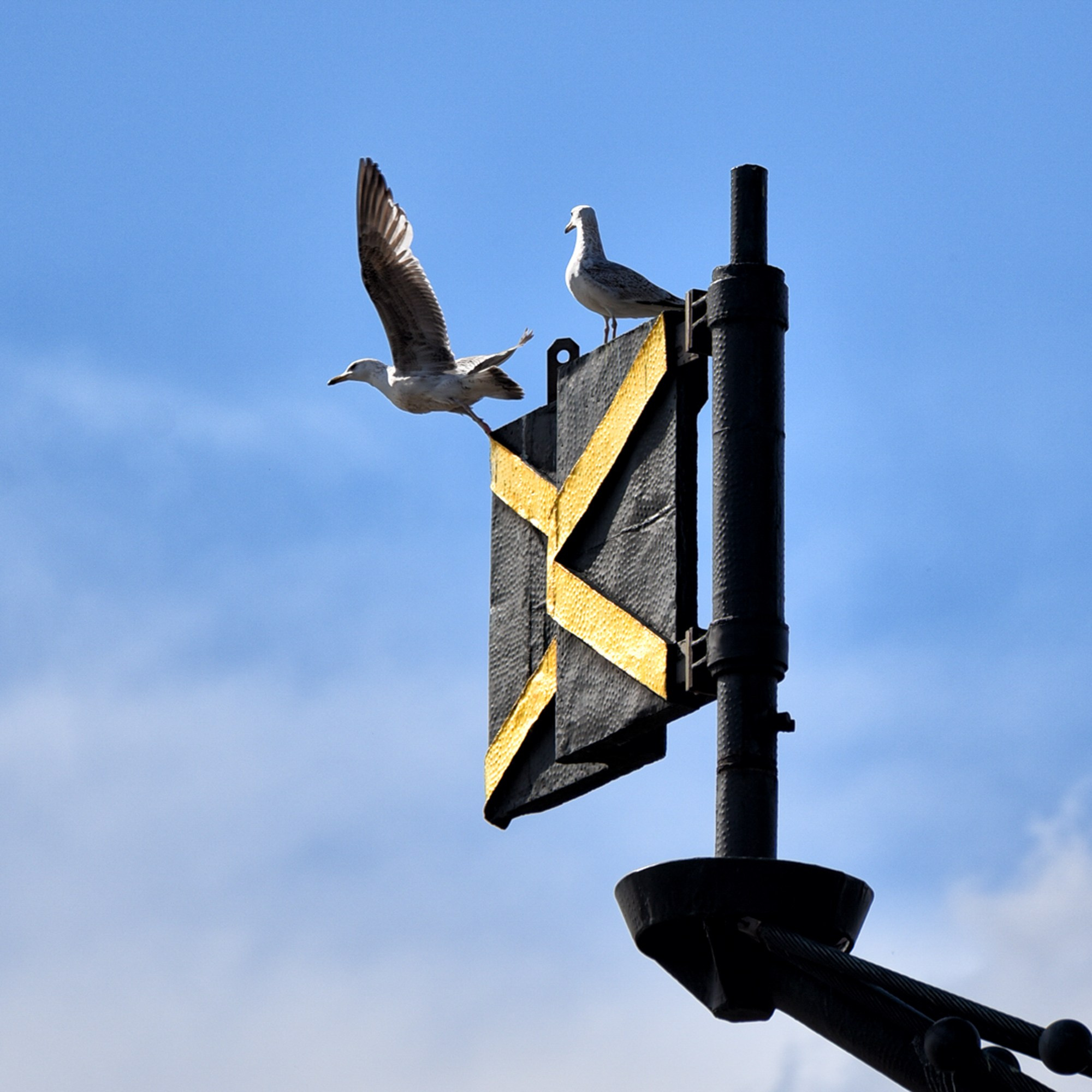 Москва. Fotolux