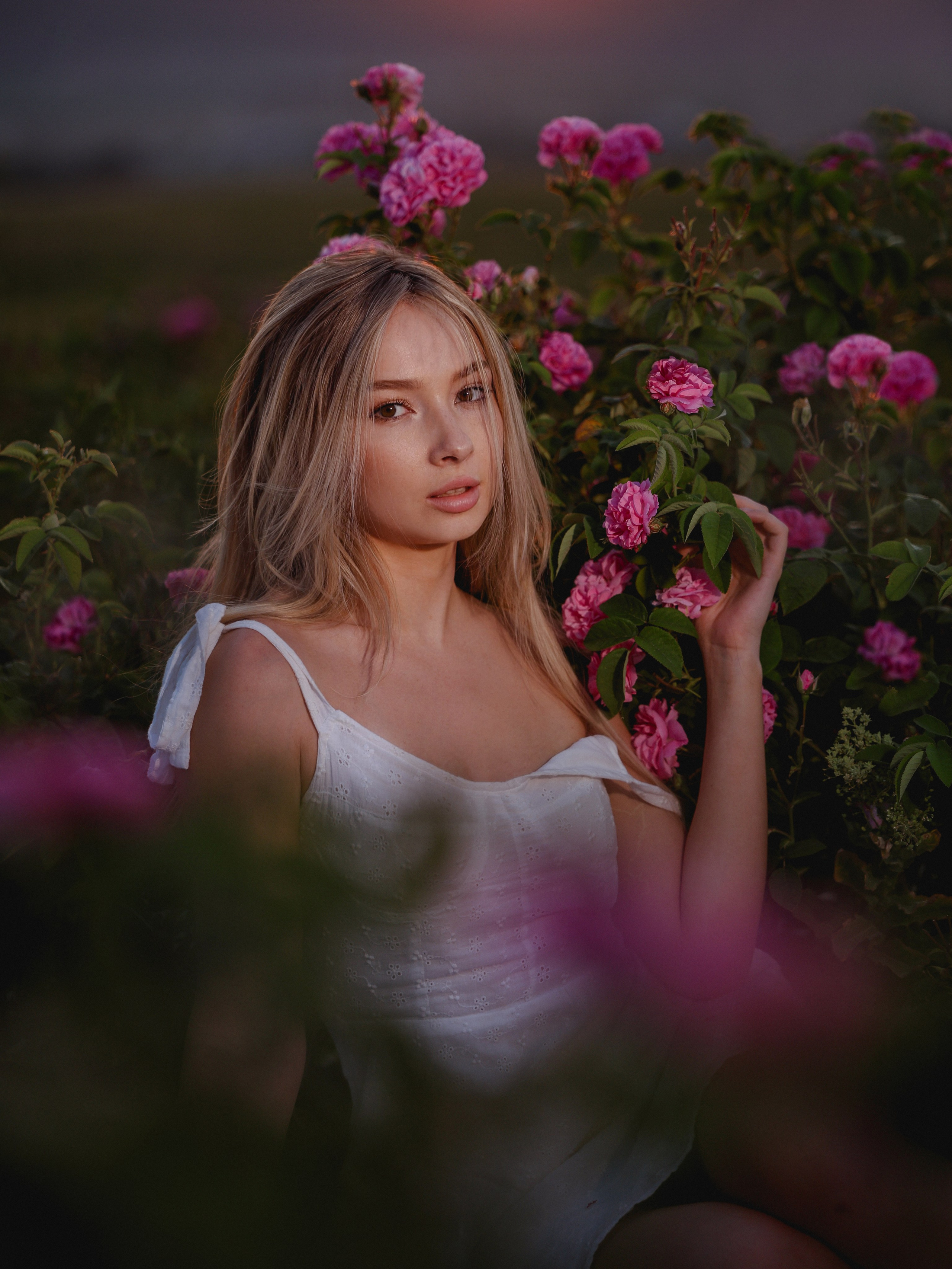 Розы. Студийный и уличный фотограф Анастасия Липовская