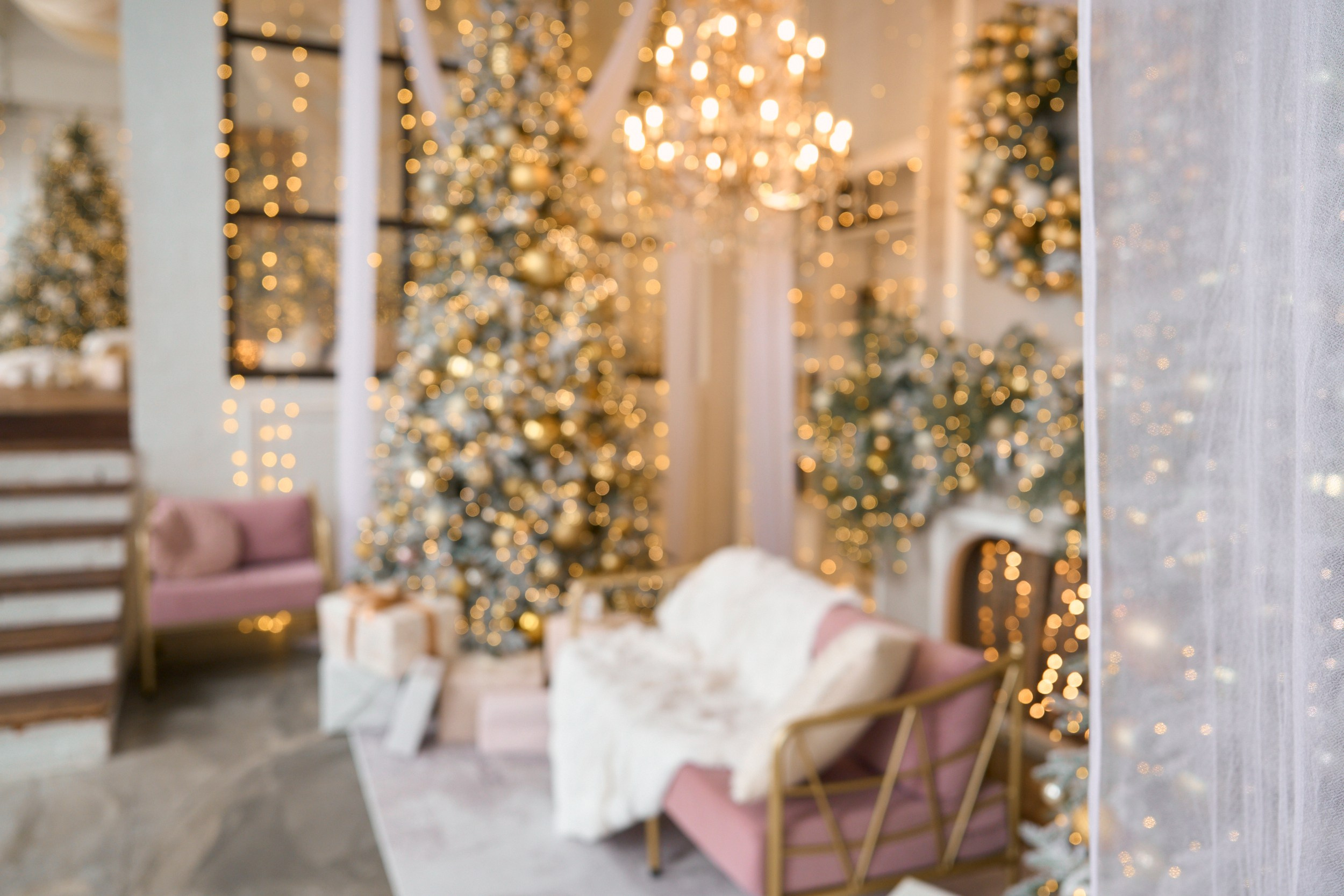 Флэт (Flat). Фотограф г. Хабаровск. Семейные и индивидуальные съёмки