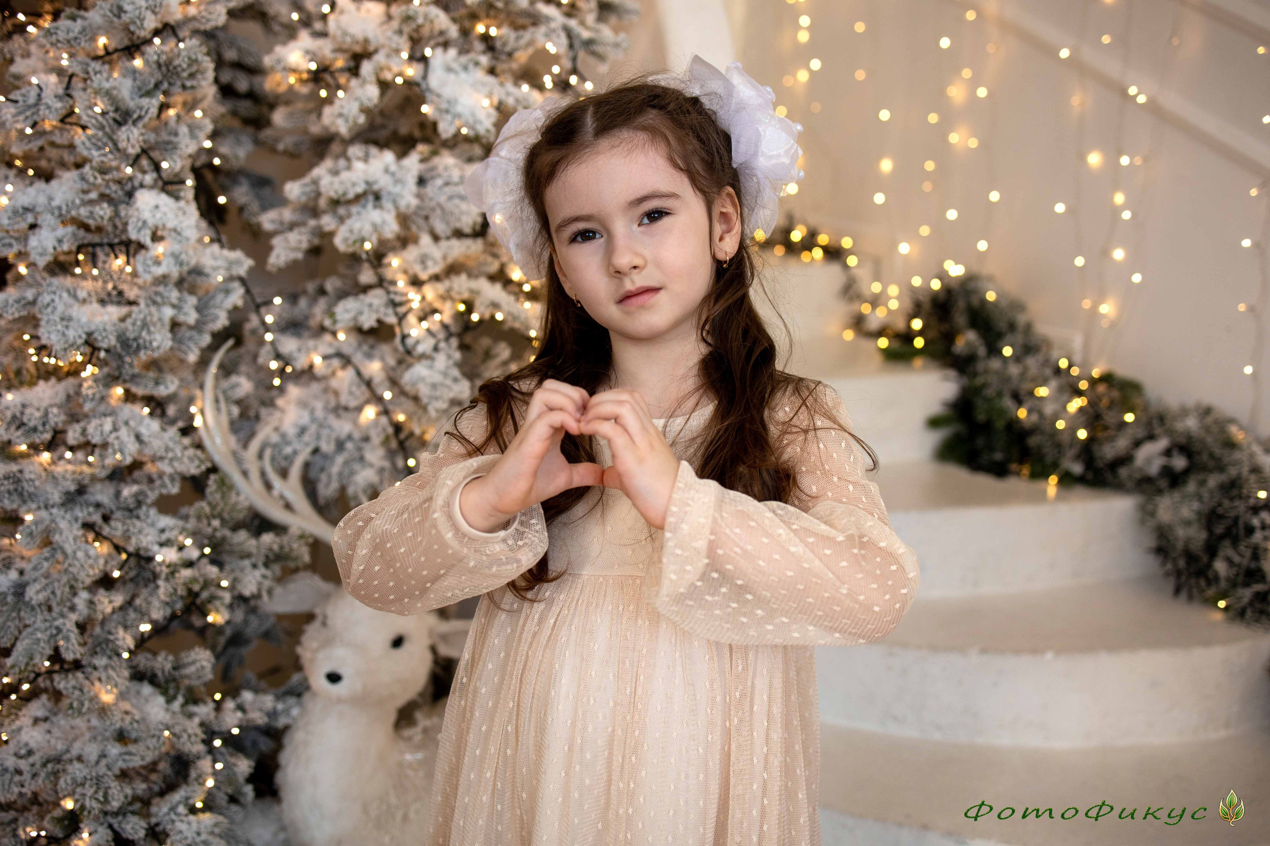 Новогодние. Фотографы Евгений и Екатерина. Фотофикус. Тюмень