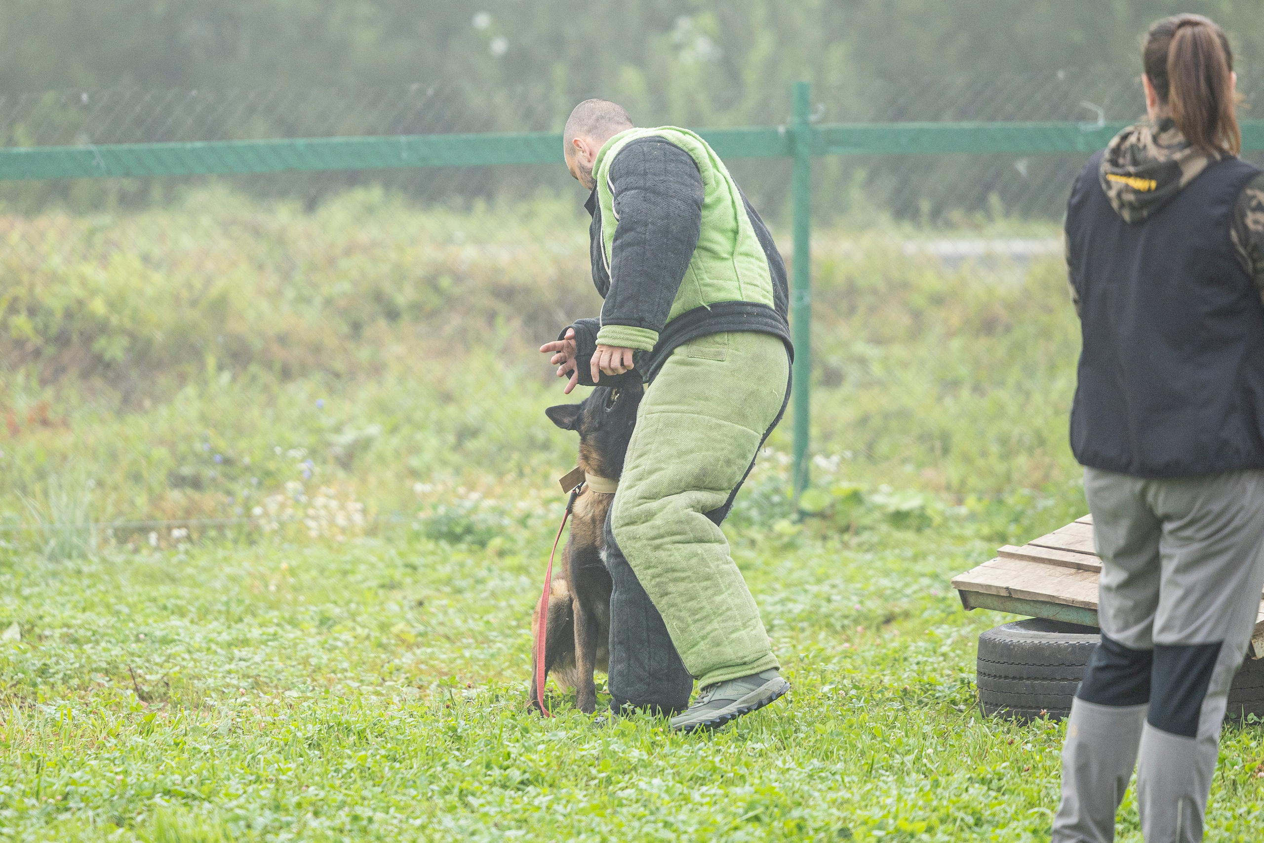 Соревнования по Мондьорингу г. Вологда 10-11.08.2024. Фотограф-анималист Анна Маринич