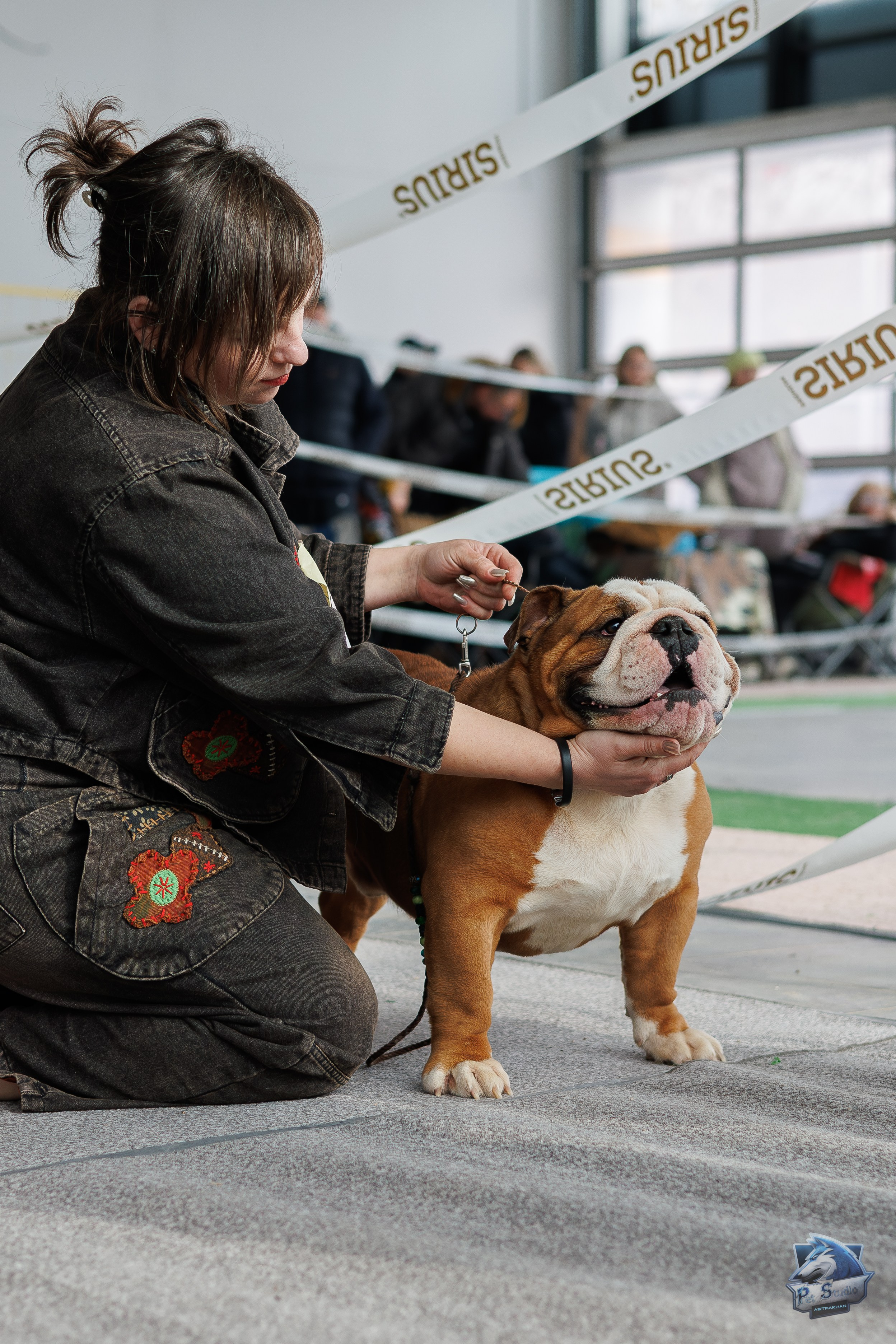 Выставки. Фотограф Марк Файзулин
