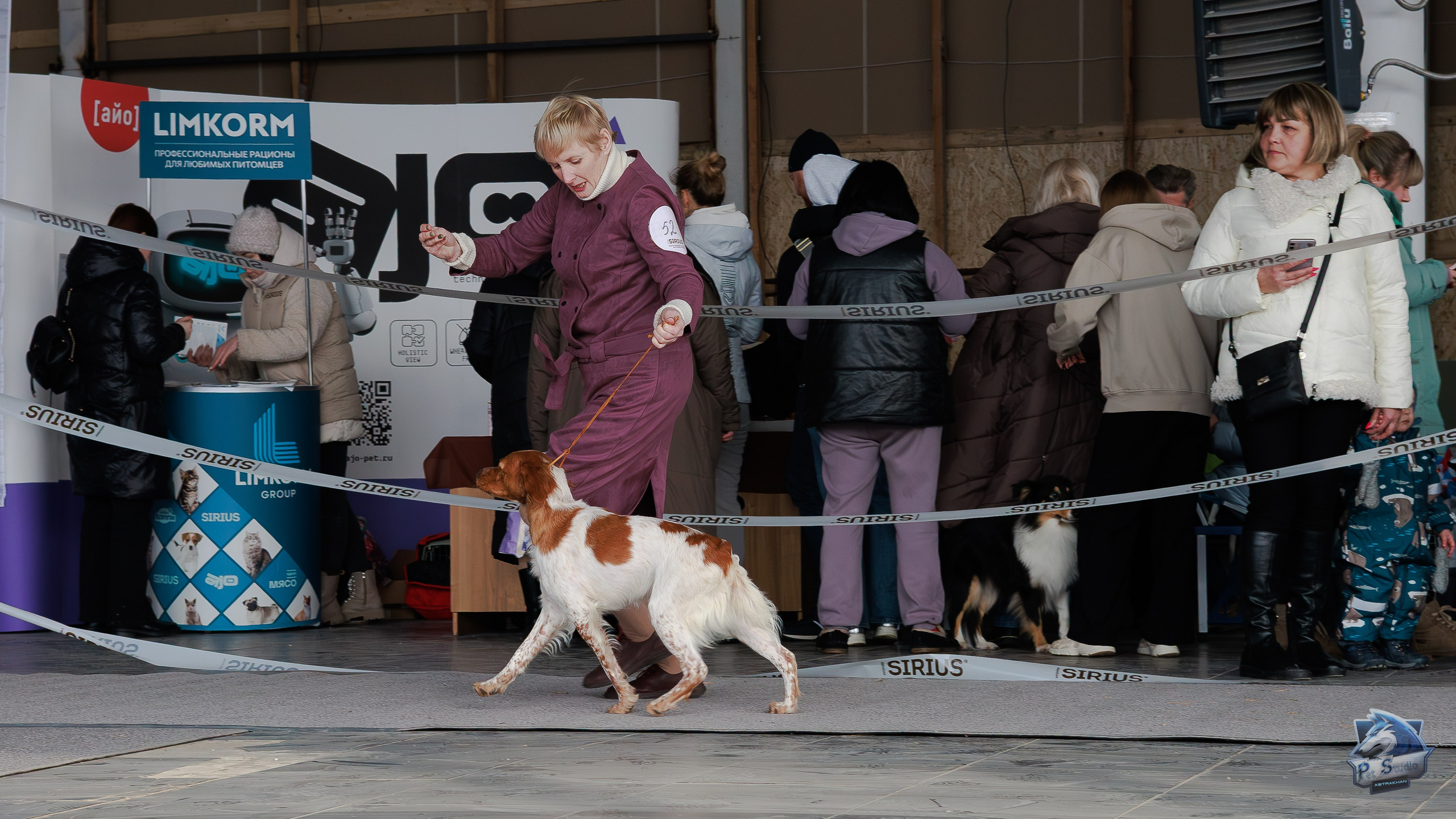 Выставки. Фотограф Марк Файзулин